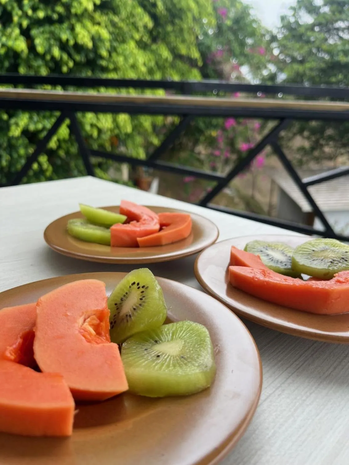 Breakfast in La Madriguera