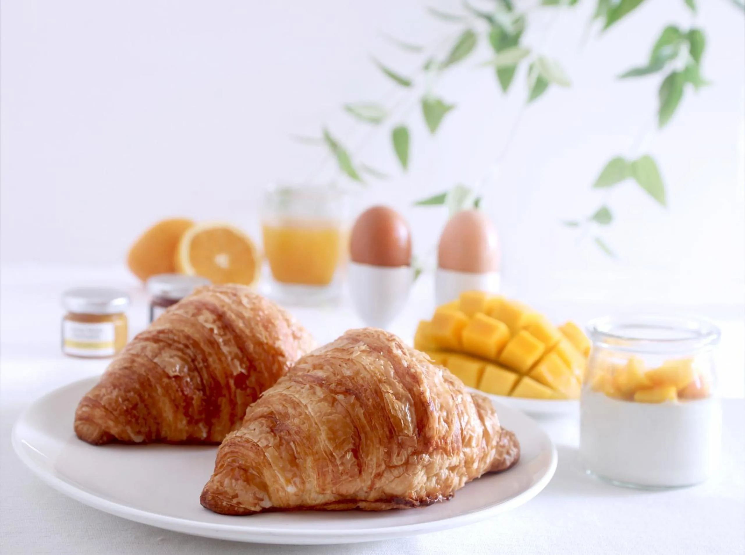 Breakfast in Aslin Villa