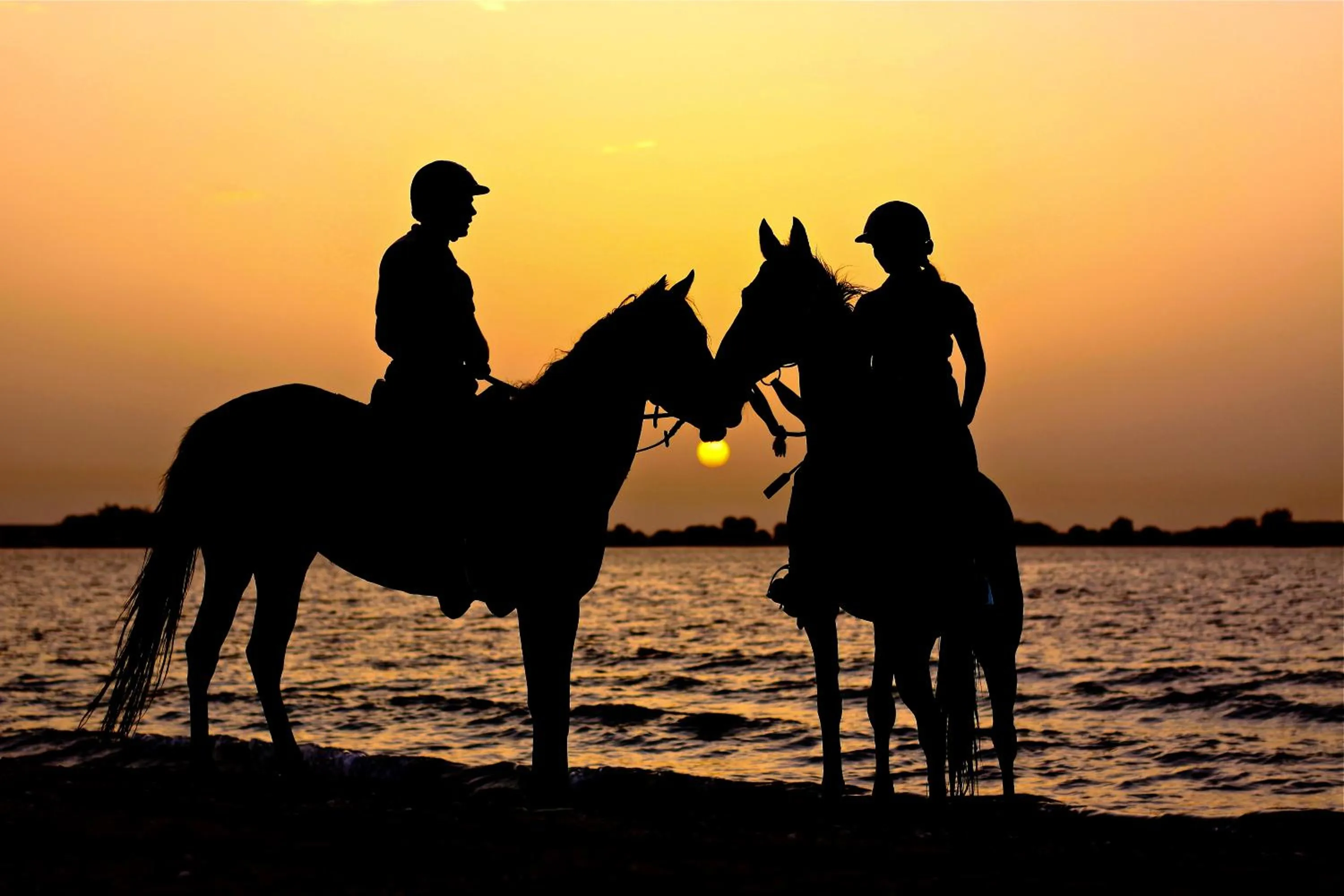 Horse-riding in Anantara Sir Bani Yas Island Al Yamm Villa Resort