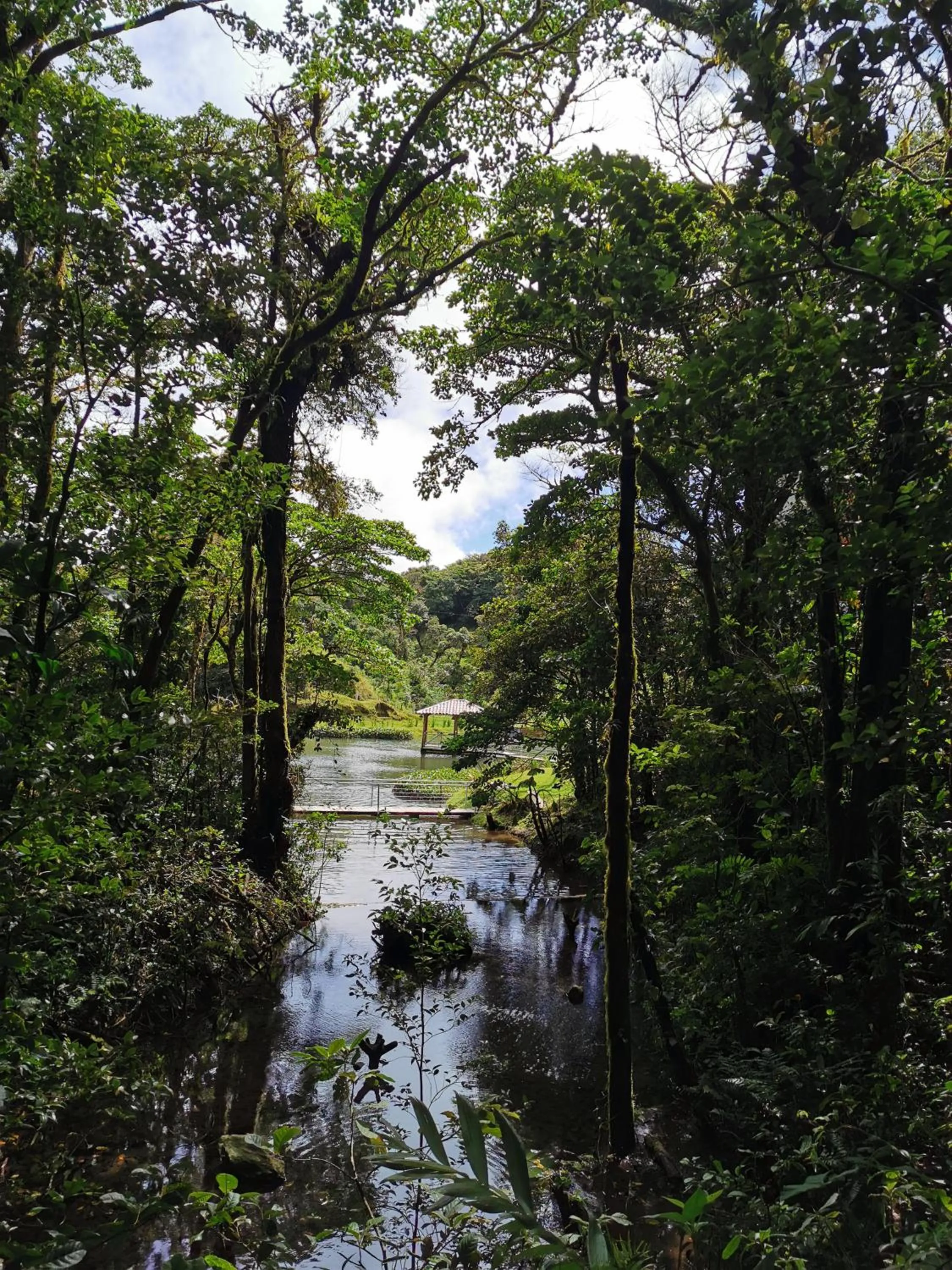 Natural landscape in Burbi Lake Lodge Monteverde