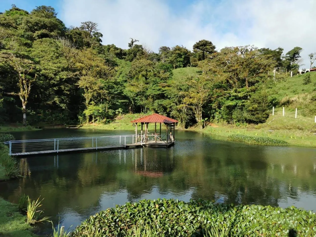 Natural landscape in Burbi Lake Lodge Monteverde