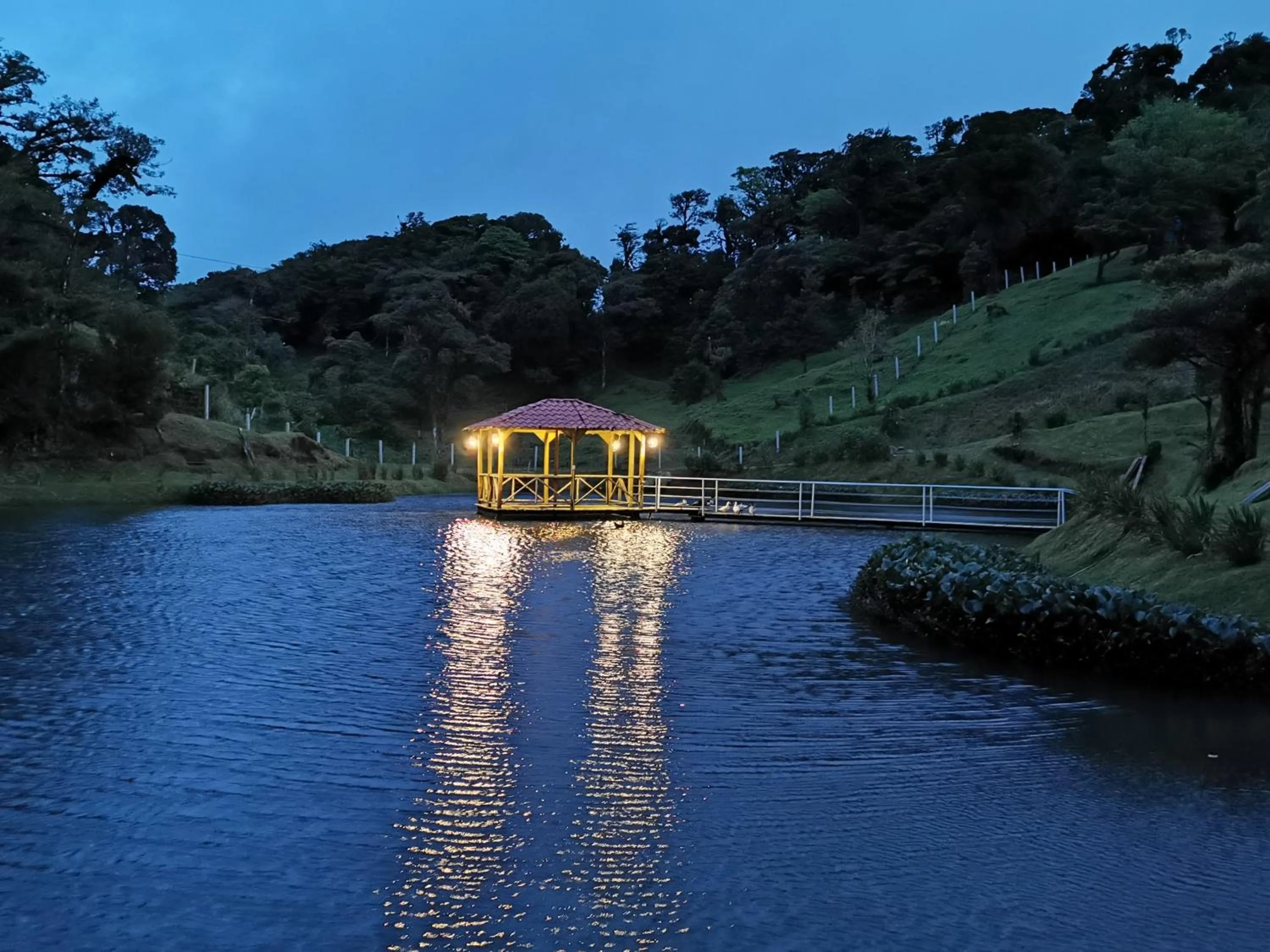 Natural landscape in Burbi Lake Lodge Monteverde