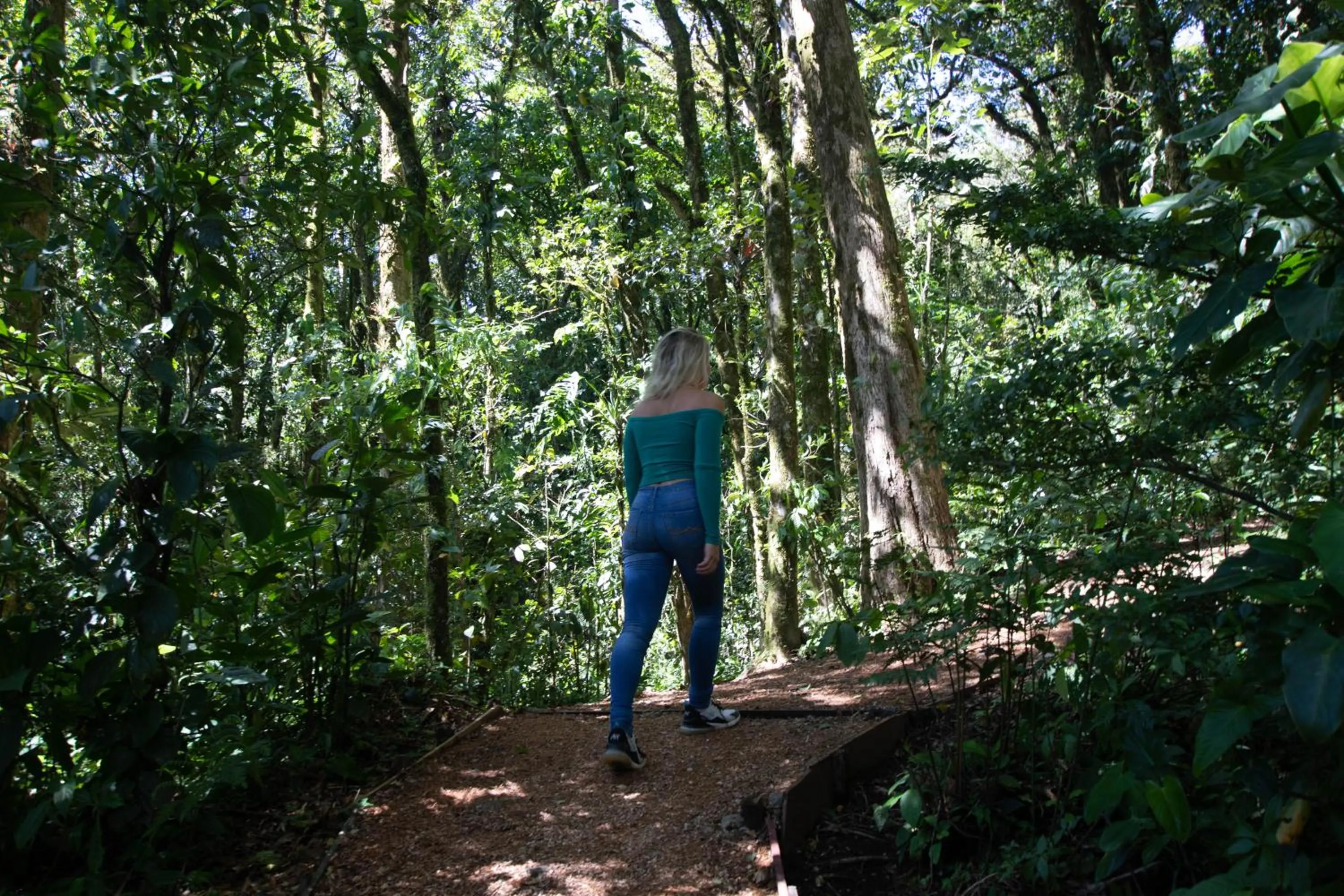 Garden in Burbi Lake Lodge Monteverde