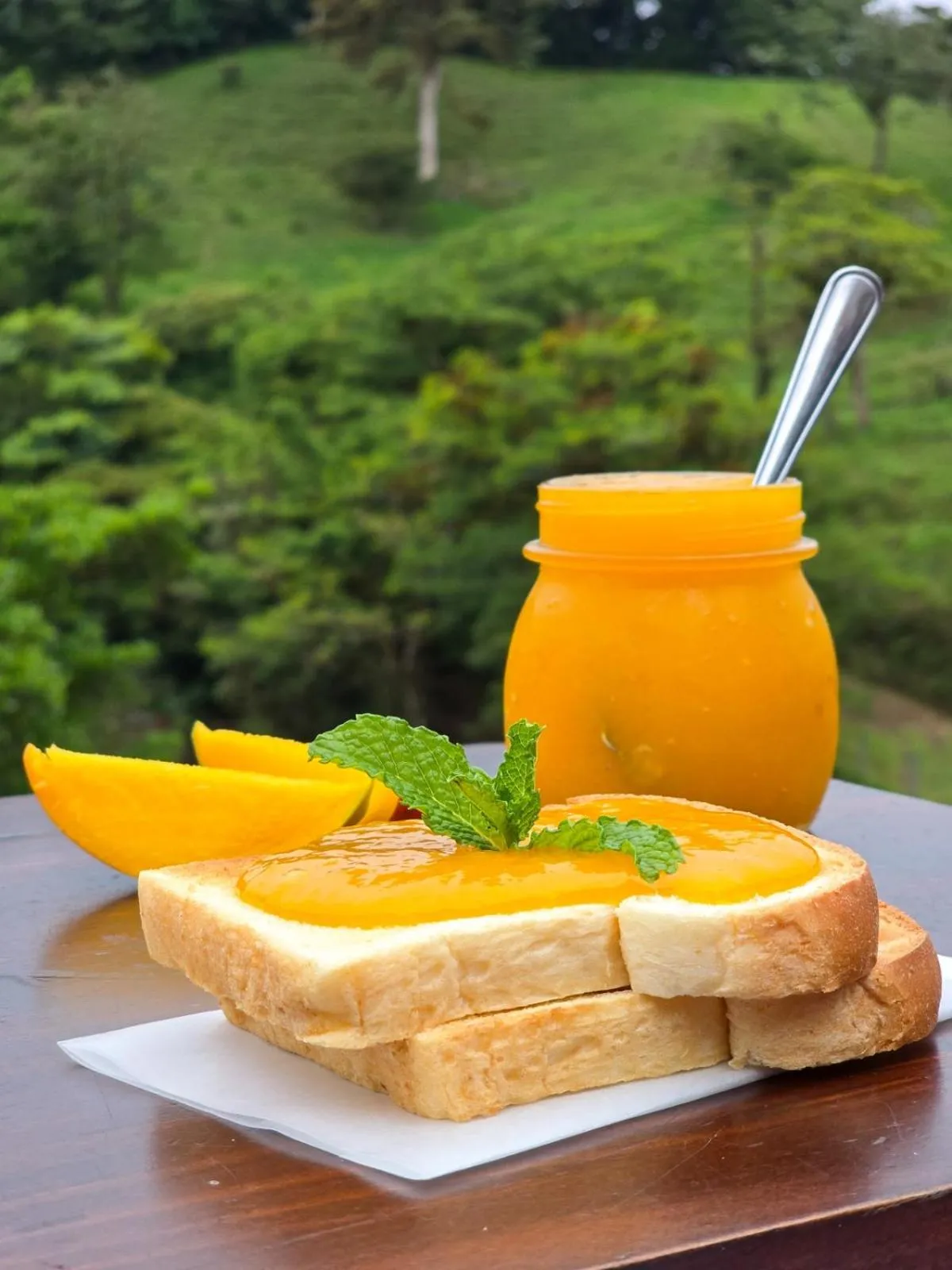 Restaurant/places to eat in Burbi Lake Lodge Monteverde