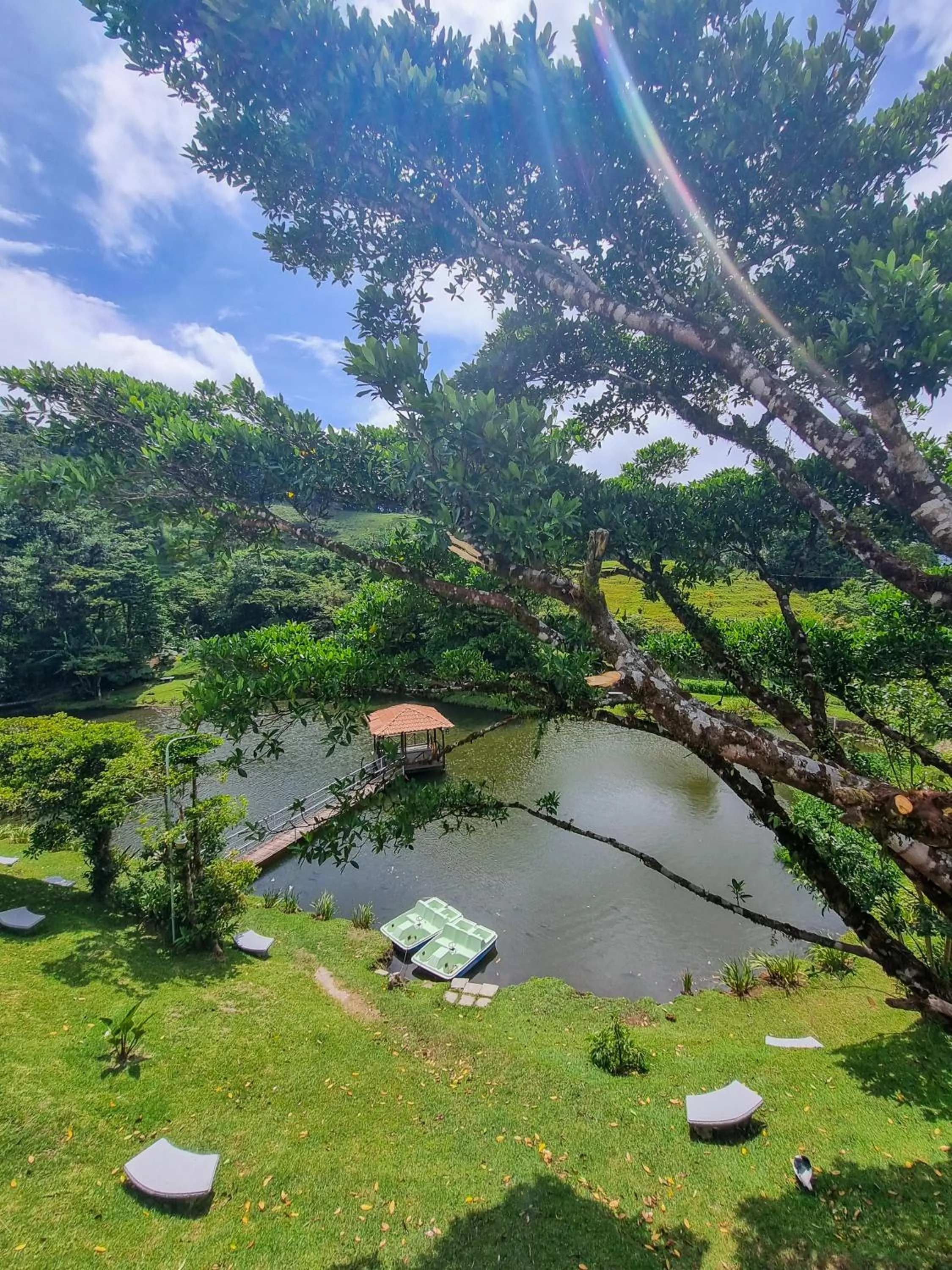 Natural landscape in Burbi Lake Lodge Monteverde