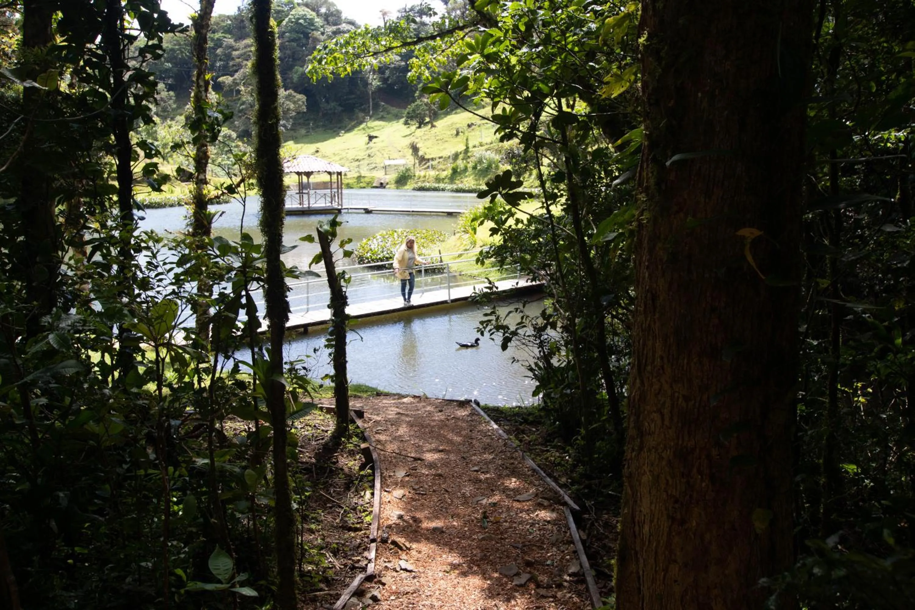 Natural landscape in Burbi Lake Lodge Monteverde