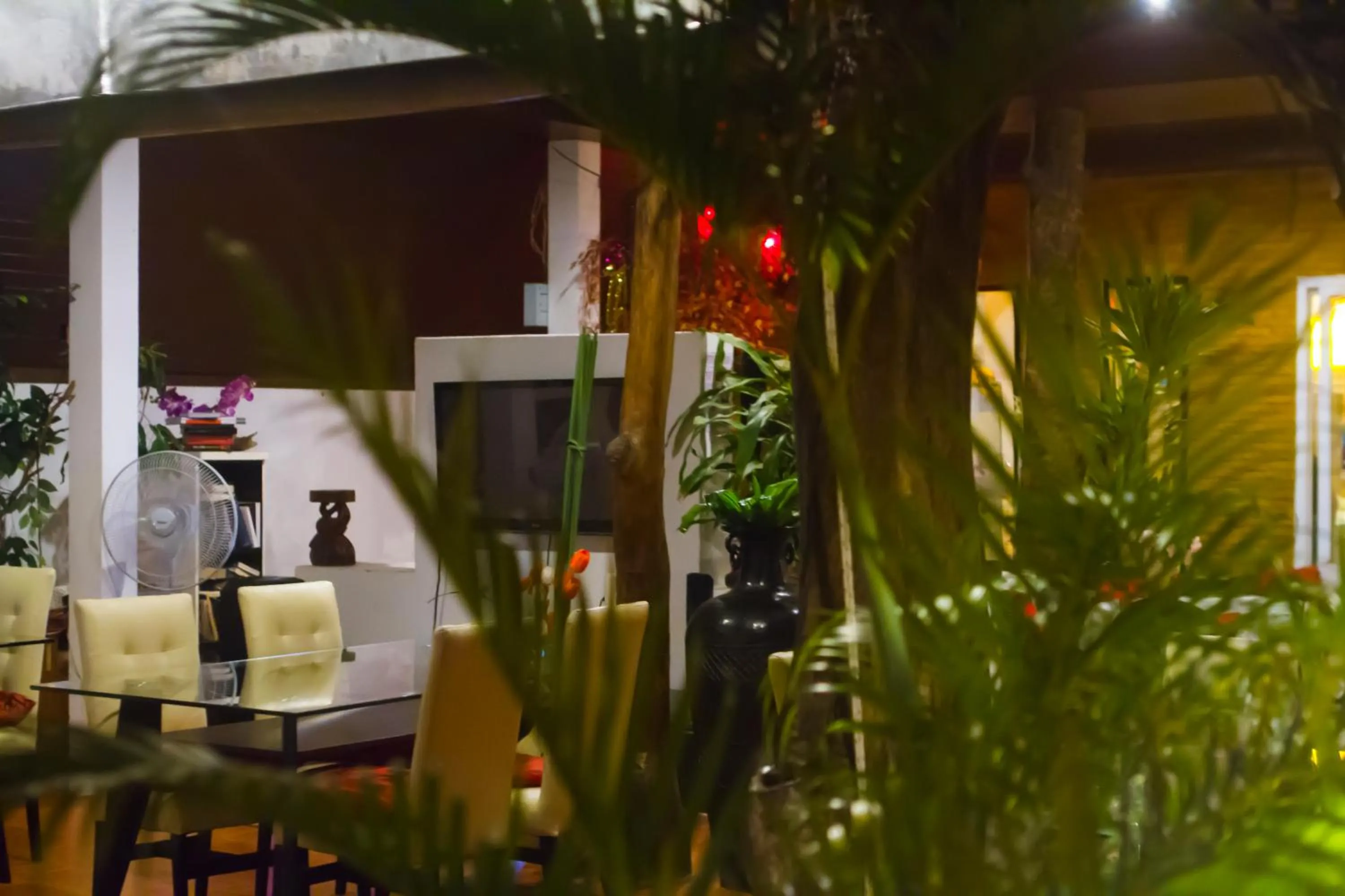 Restaurant/places to eat in Phangan Cove Beach Resort