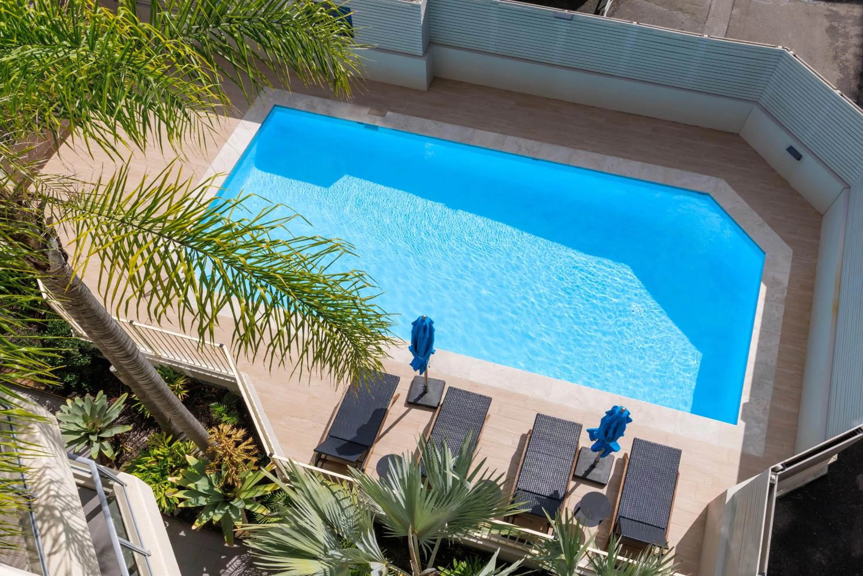 Swimming pool in The Sebel Sydney Manly Beach