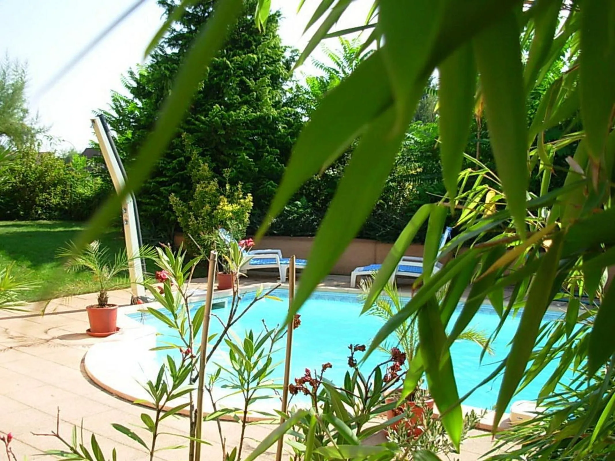 Swimming pool in Vignoble