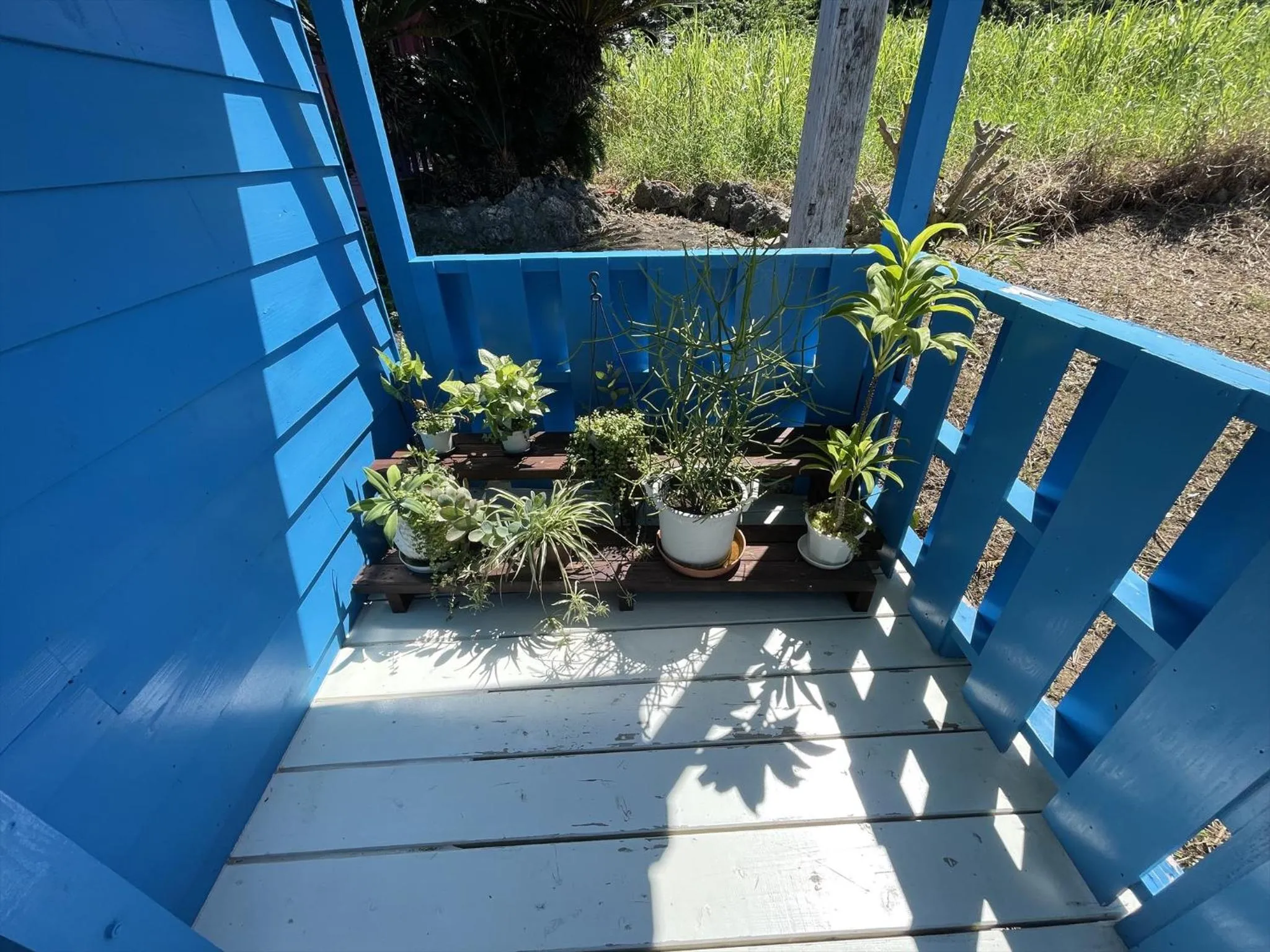 Property building in Shiawaseninaru Kourijima no Yado