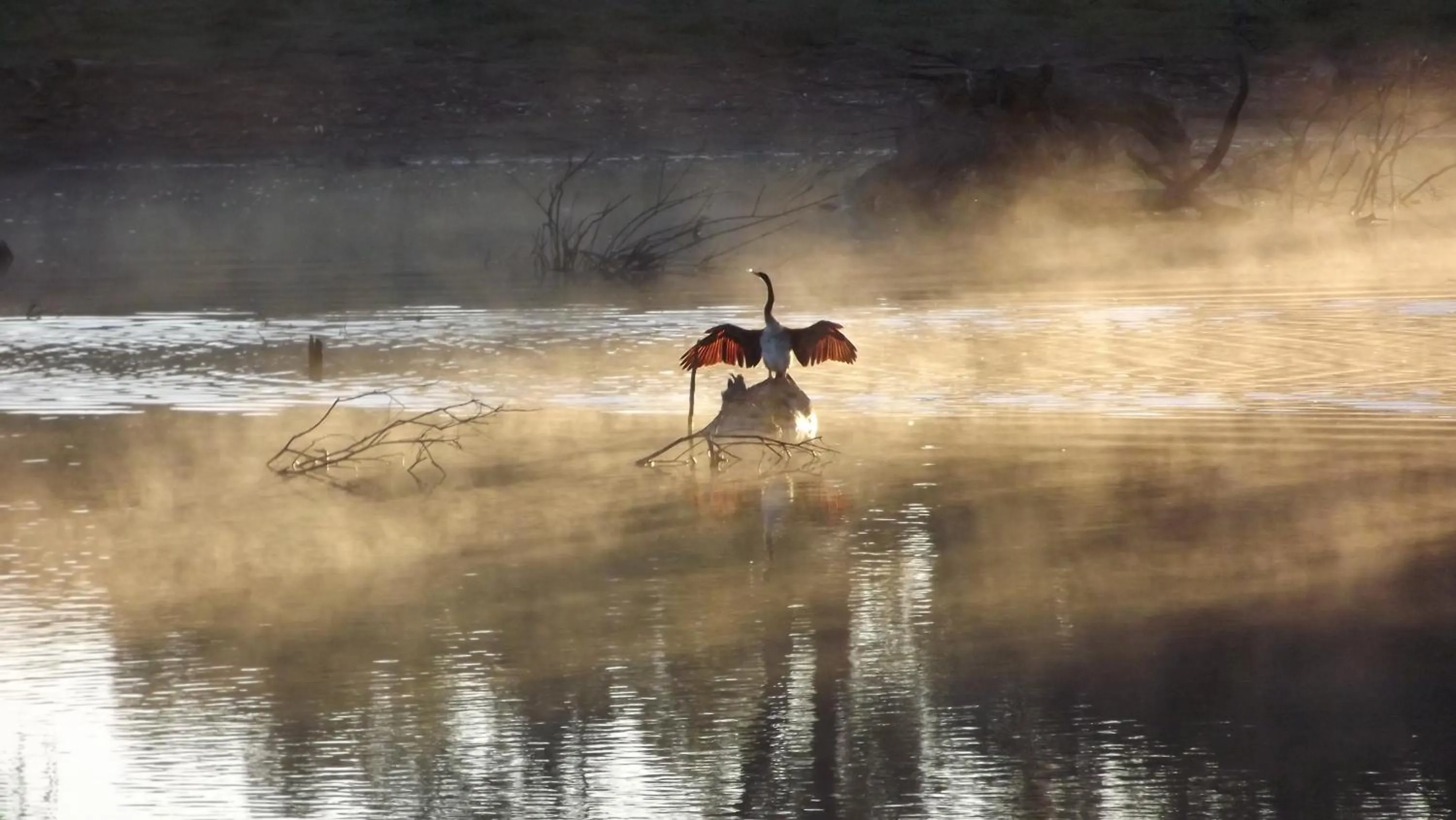 Warrawong on the Darling Wilcannia Holiday Park