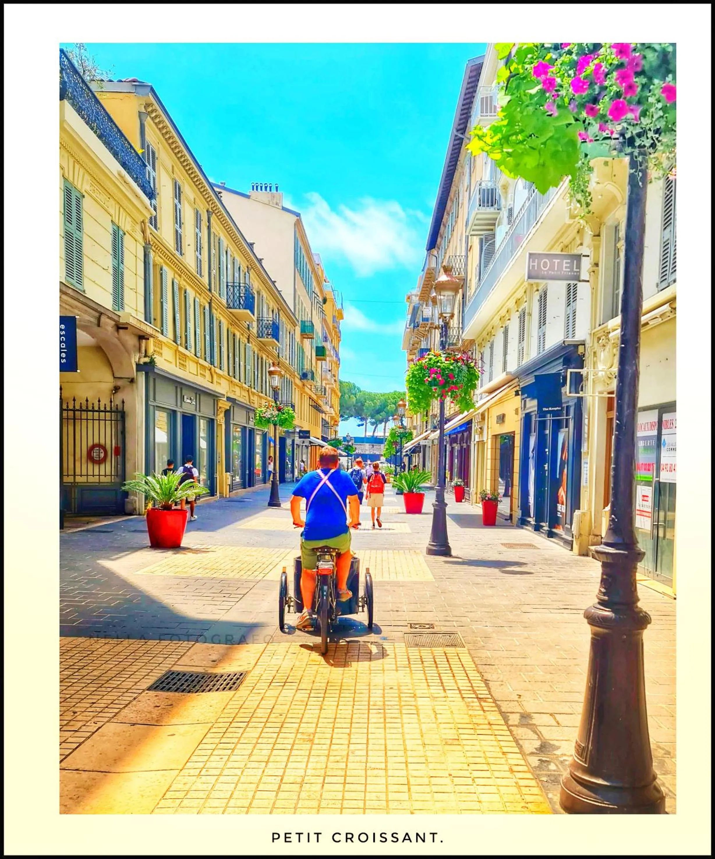 Neighbourhood in Le Petit Trianon et le Charme des Suites