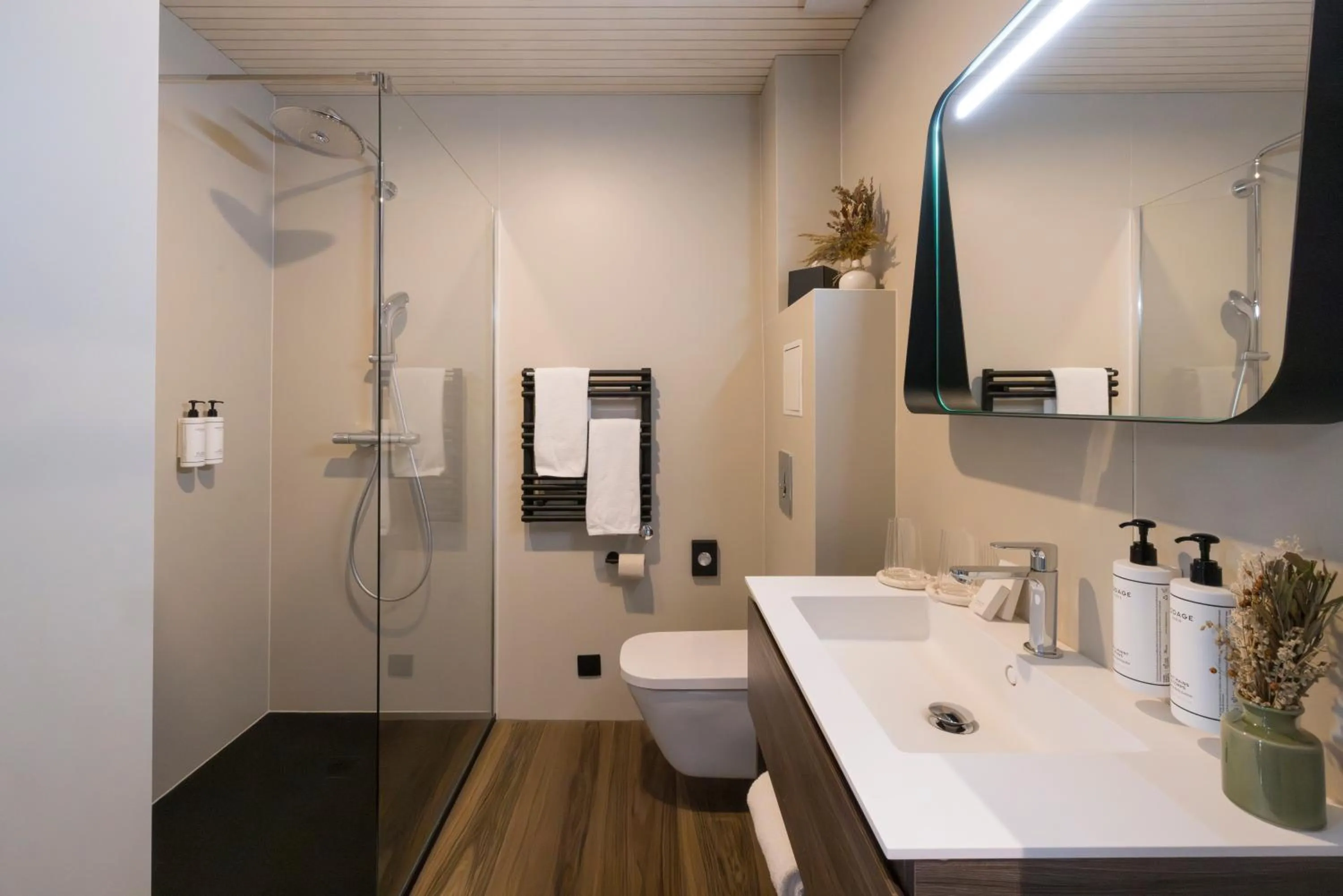 James Vignoble Hôtel, Eguisheim