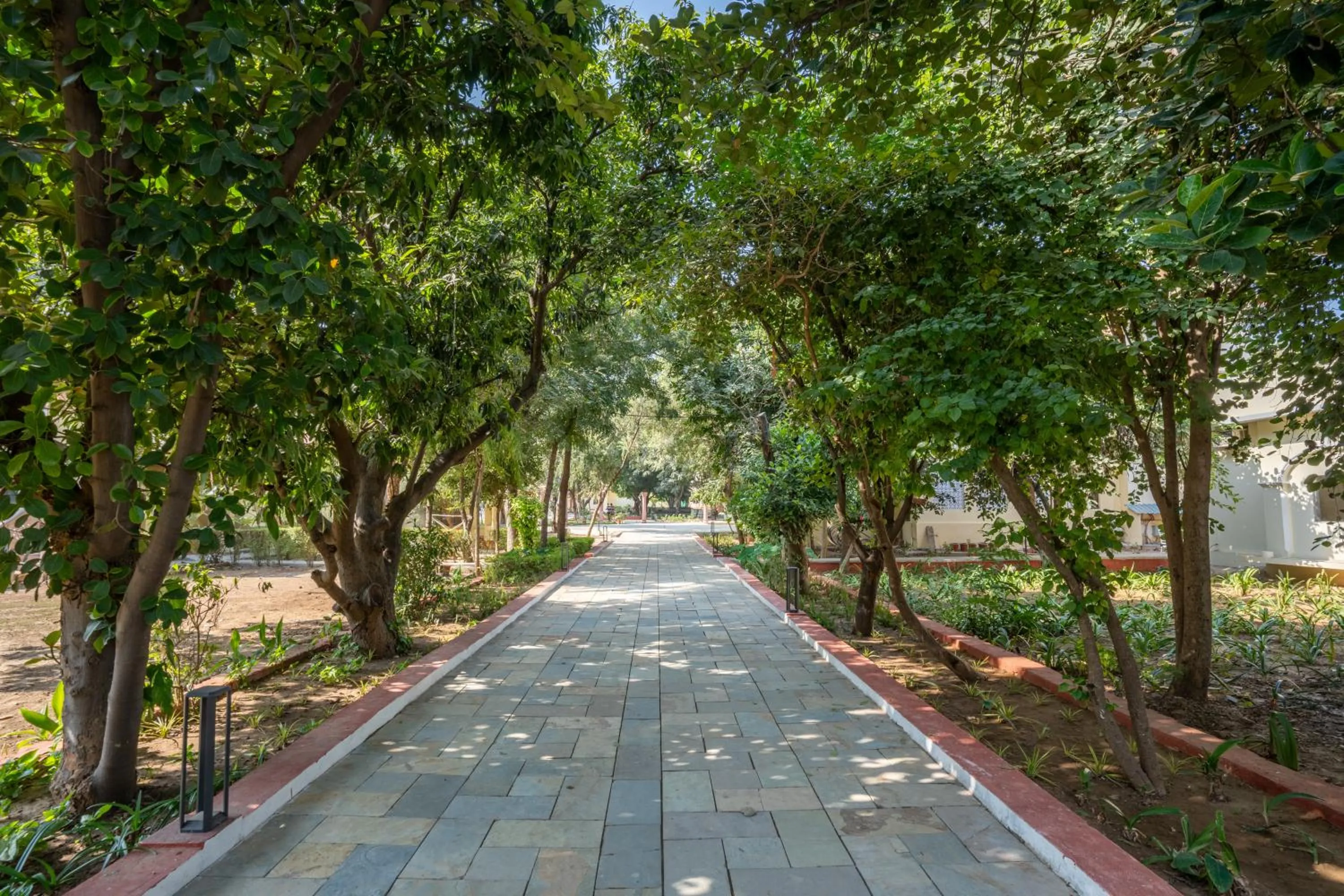 Natural landscape in JuSTa Alwarbagh Sariska