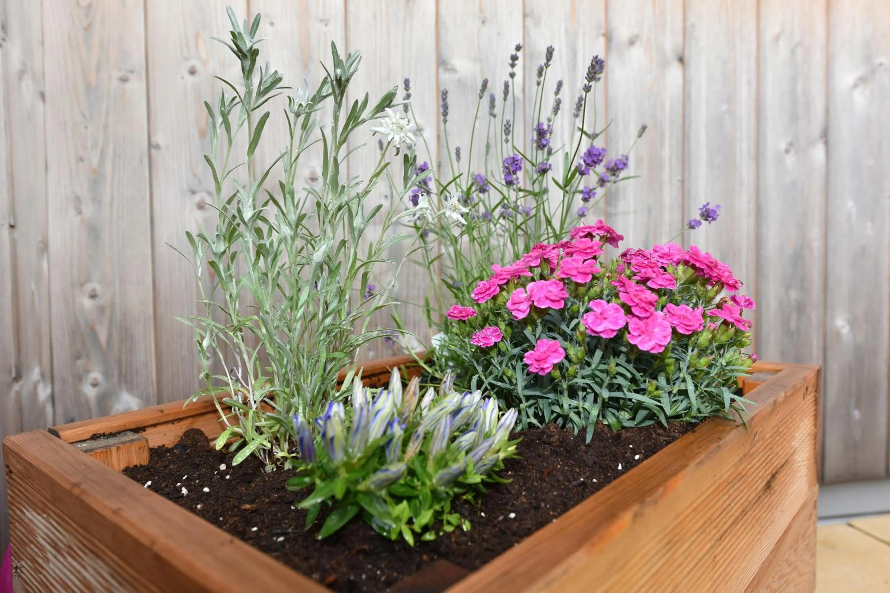 Balcony/Terrace in Ferienhof Felder