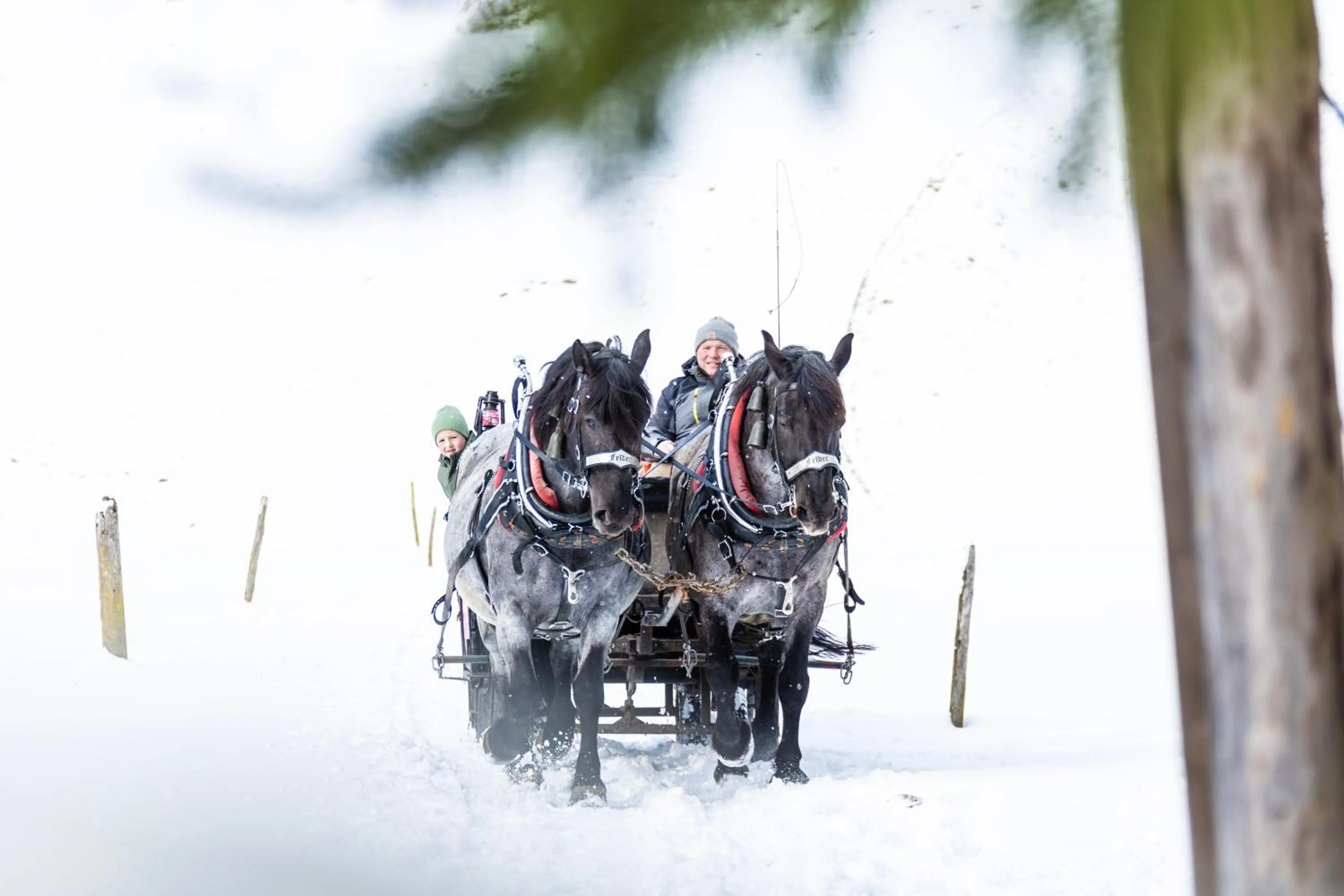 Activities in Ferienhof Felder