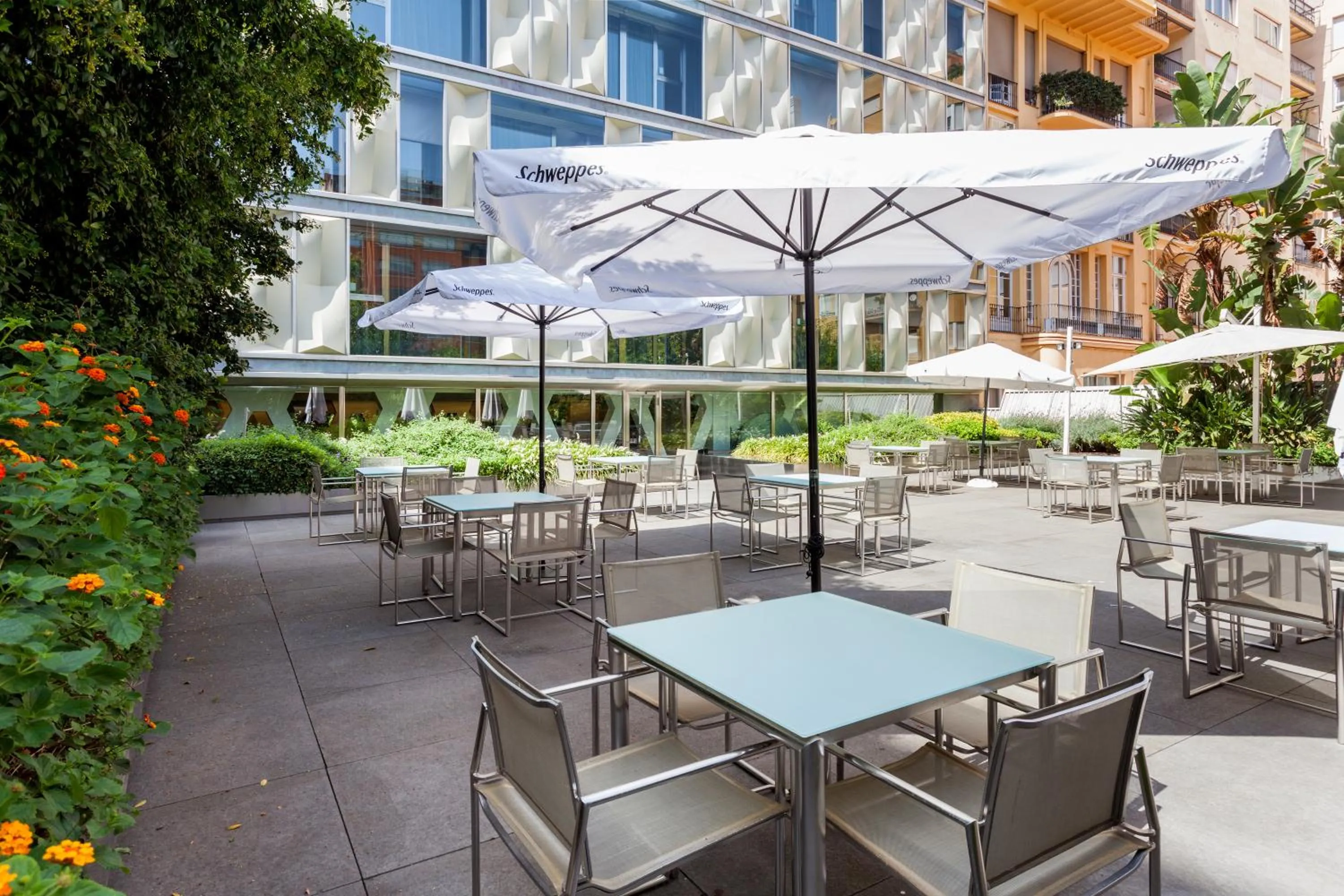 Patio in Hotel Royal Passeig de Gracia