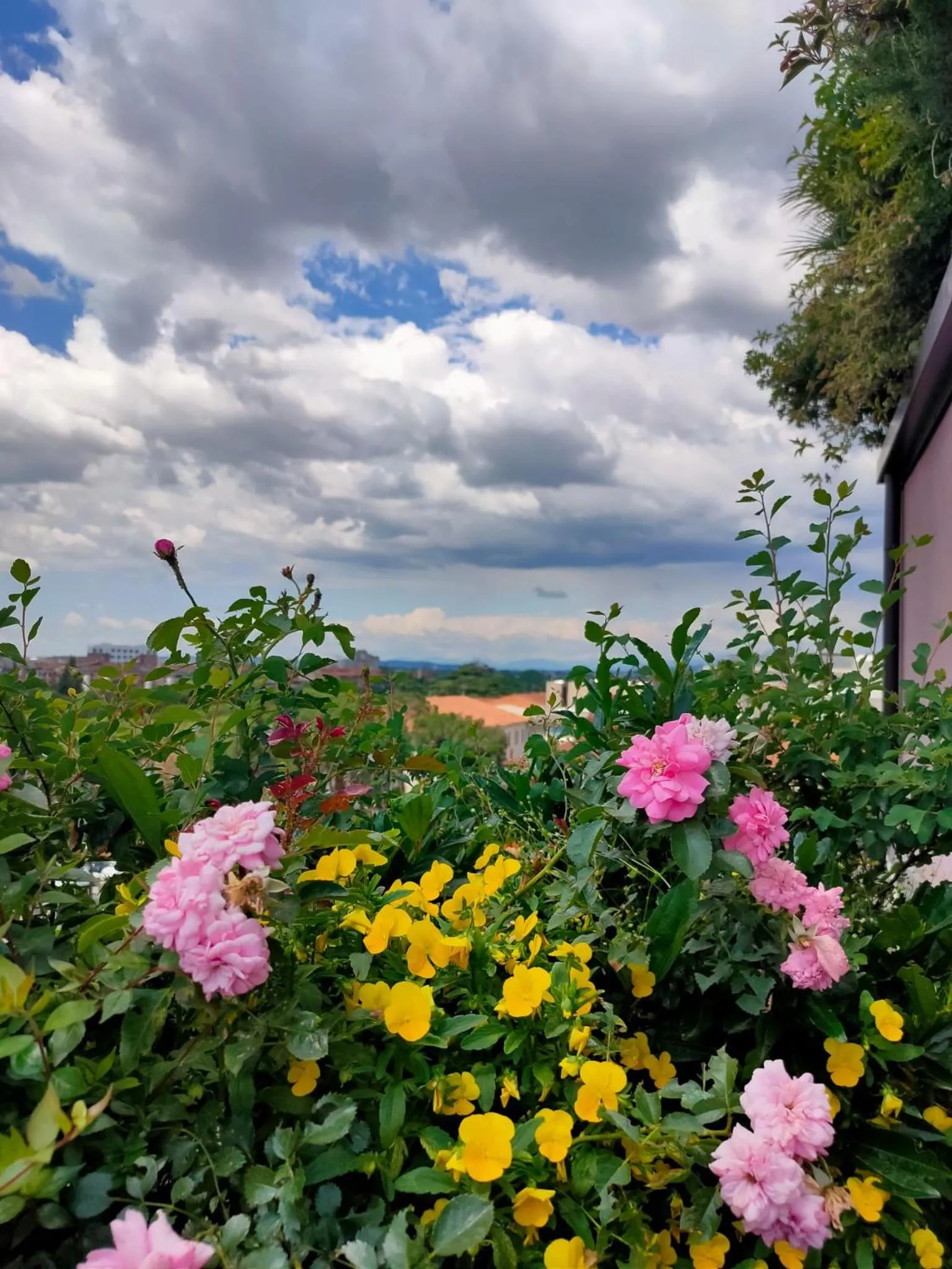 Spring in Nuova Opera Rooms & Apartment