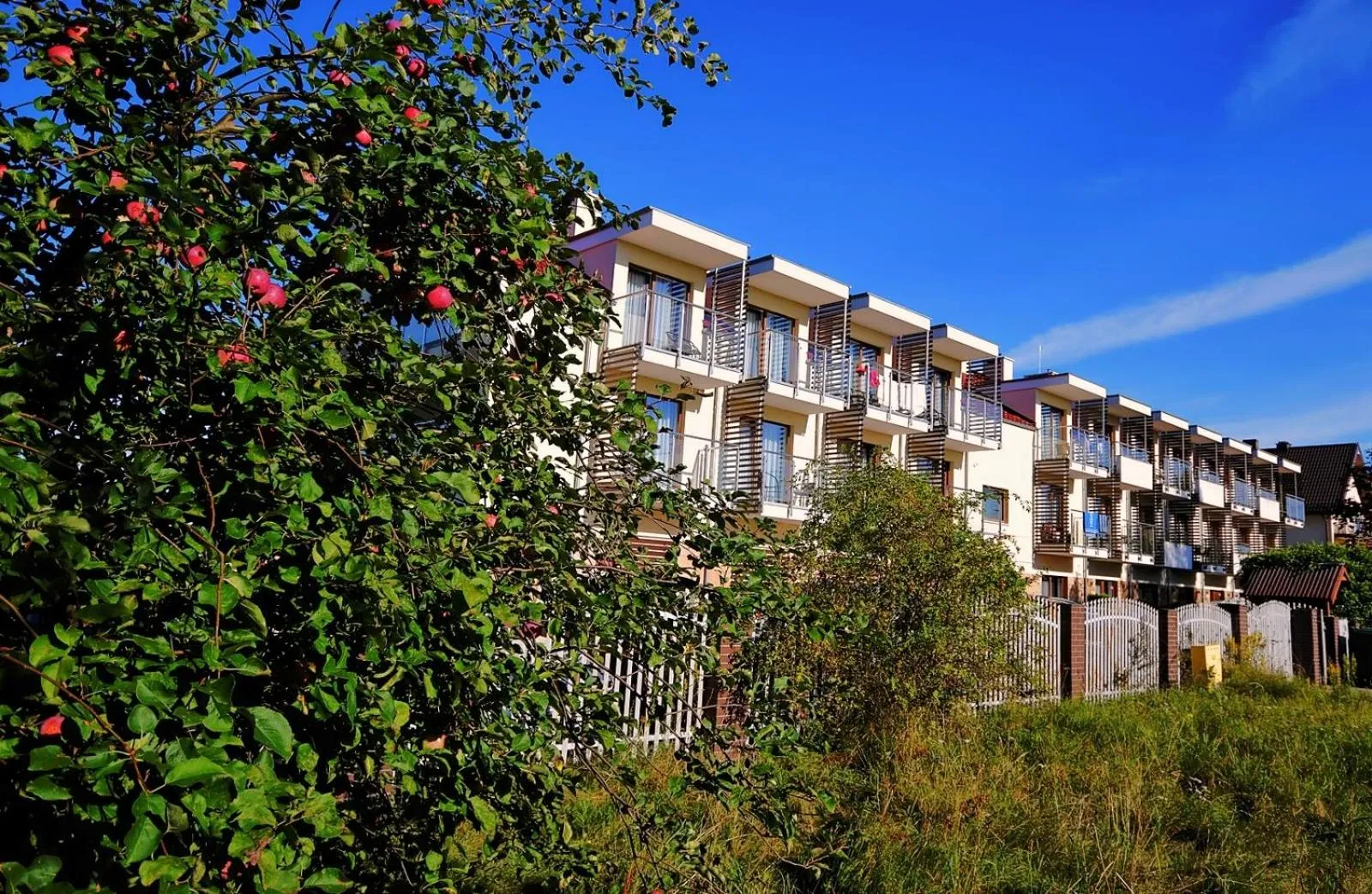 Property building in Amberia