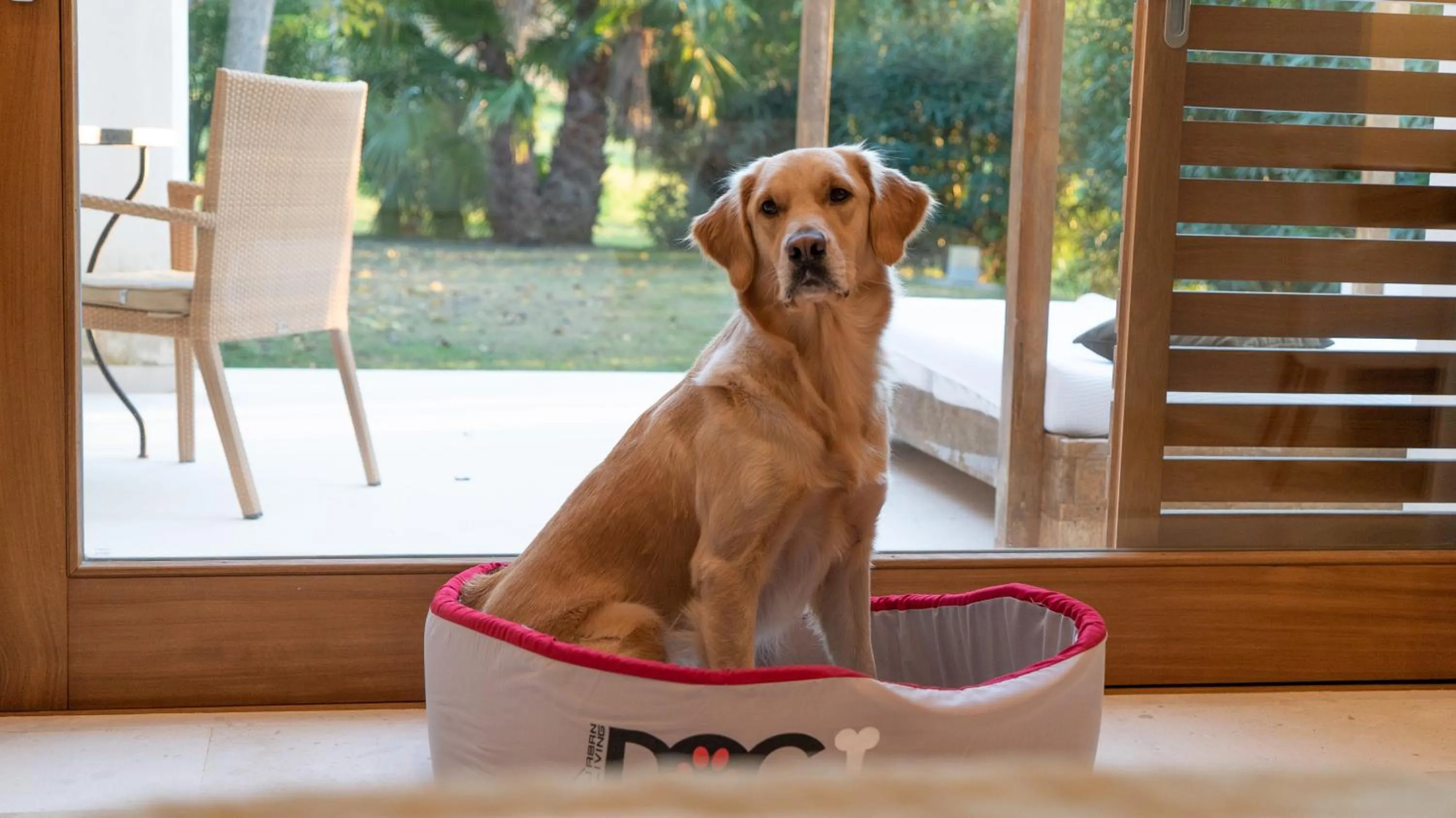 Pets in Can Lluc Boutique Country Hotel & Villas, a member of Beyond Green