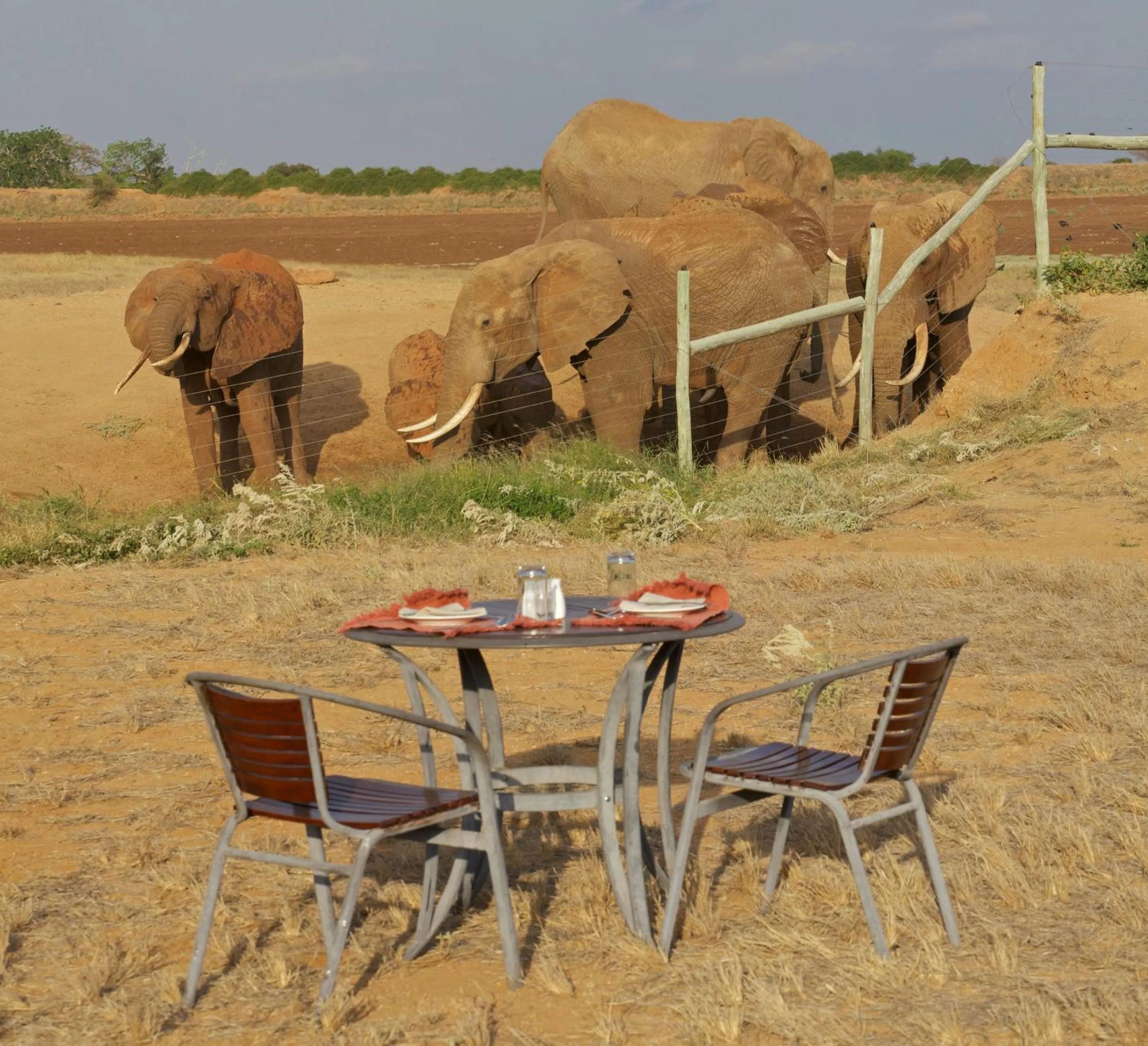 Restaurant/places to eat in Ashnil Aruba Lodge