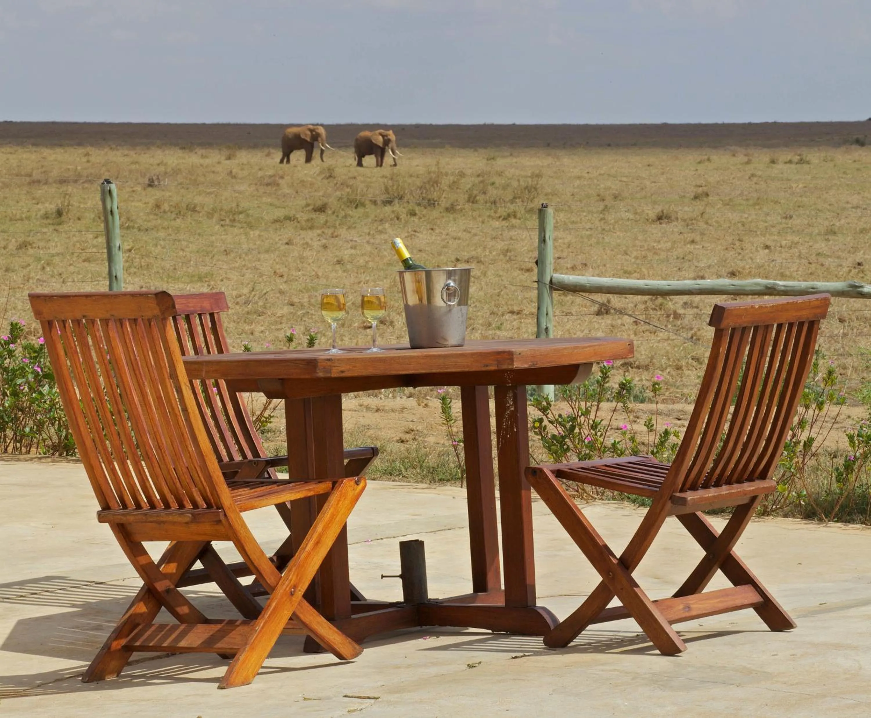 Restaurant/places to eat in Ashnil Aruba Lodge