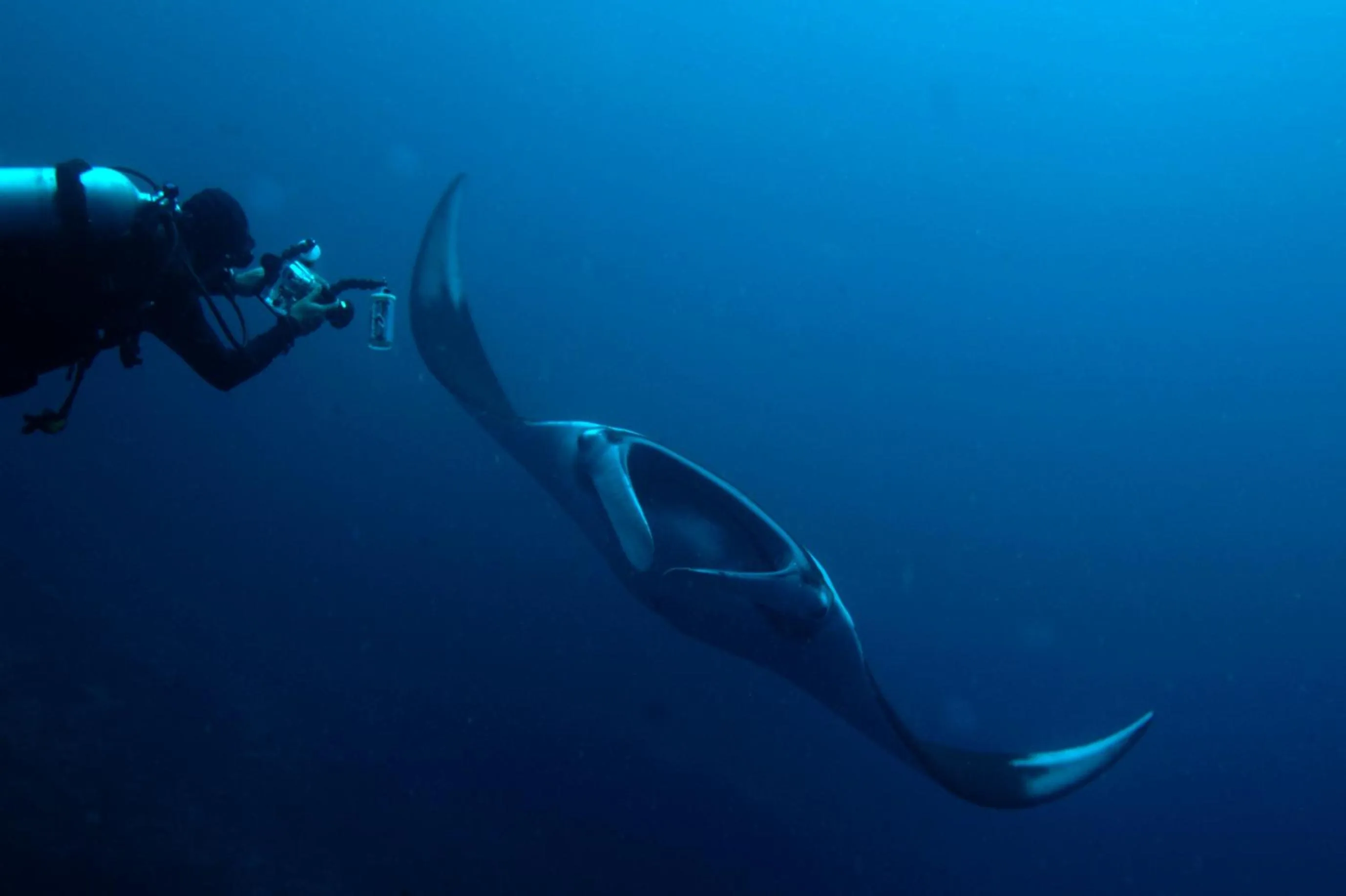 Diving in Pimalai Resort & Spa