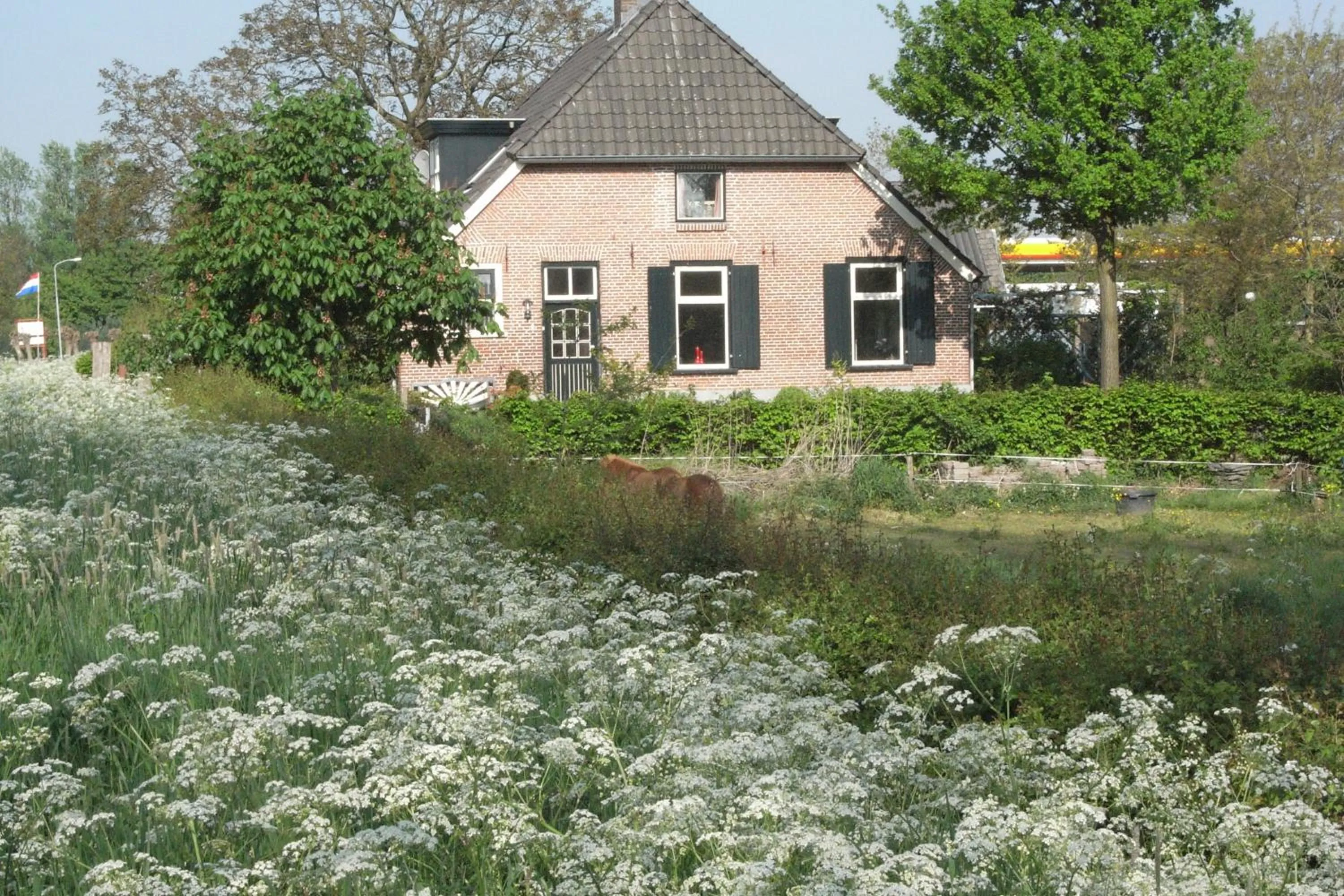 Facade/entrance in Bed and Garden Alde Coninckshof
