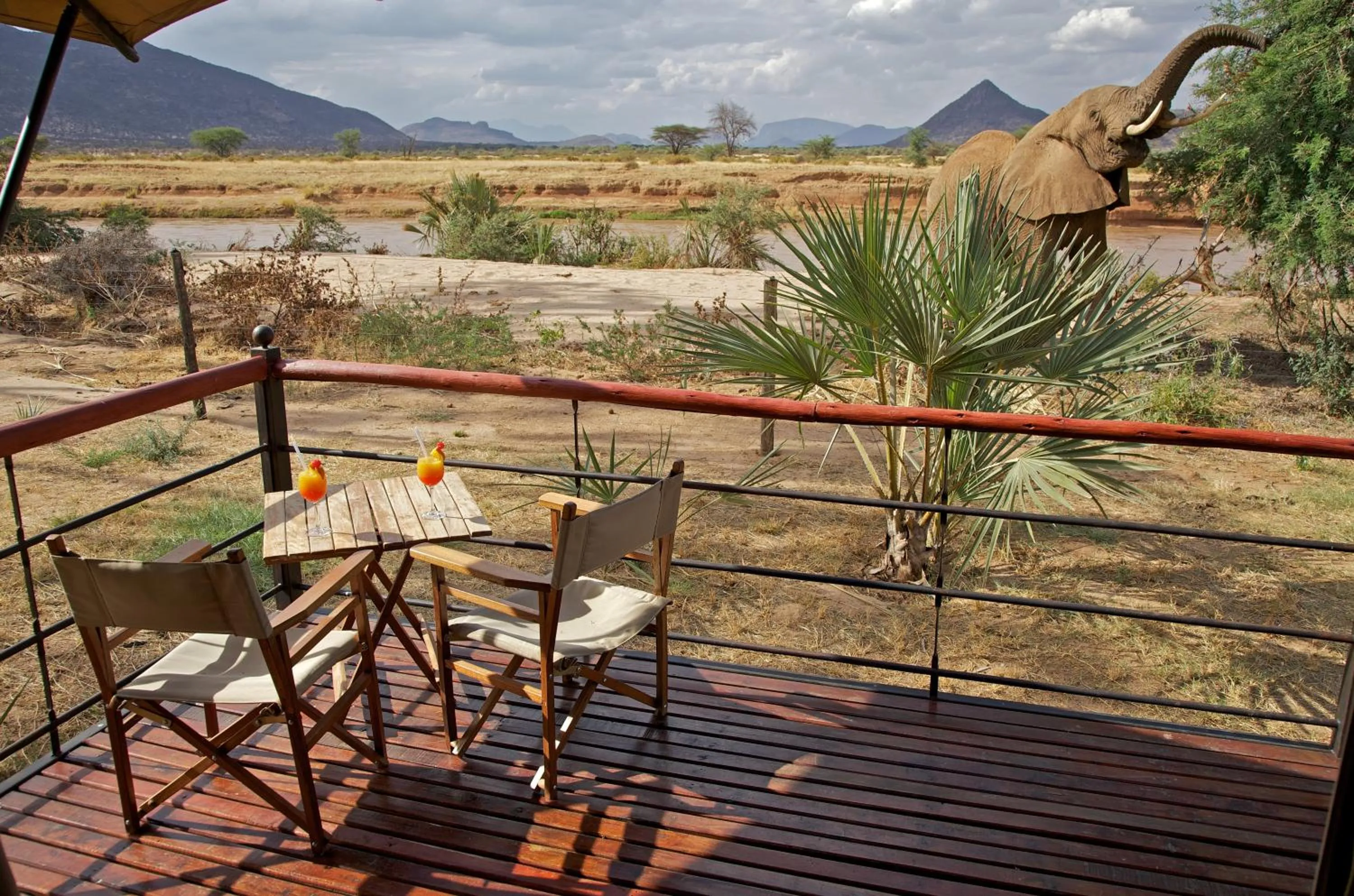 Day in Ashnil Samburu Camp