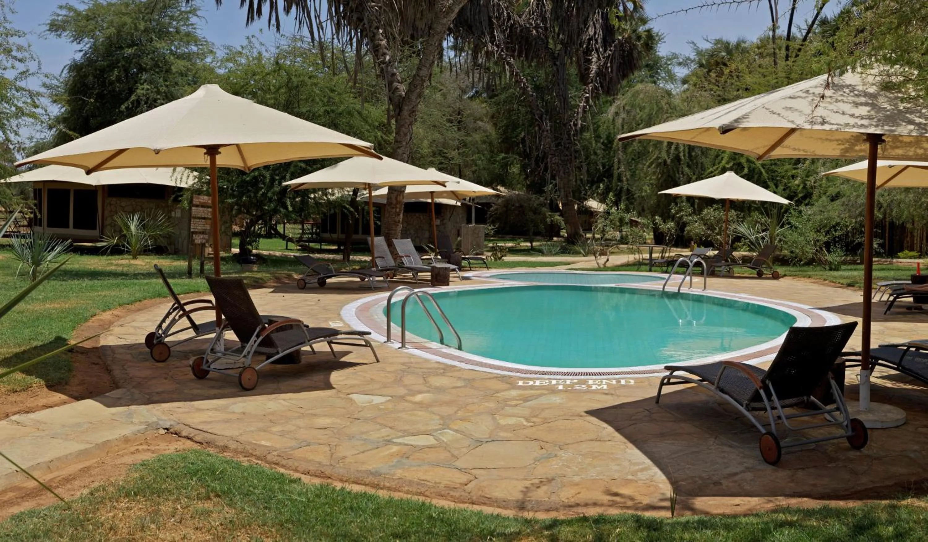 Swimming pool in Ashnil Samburu Camp