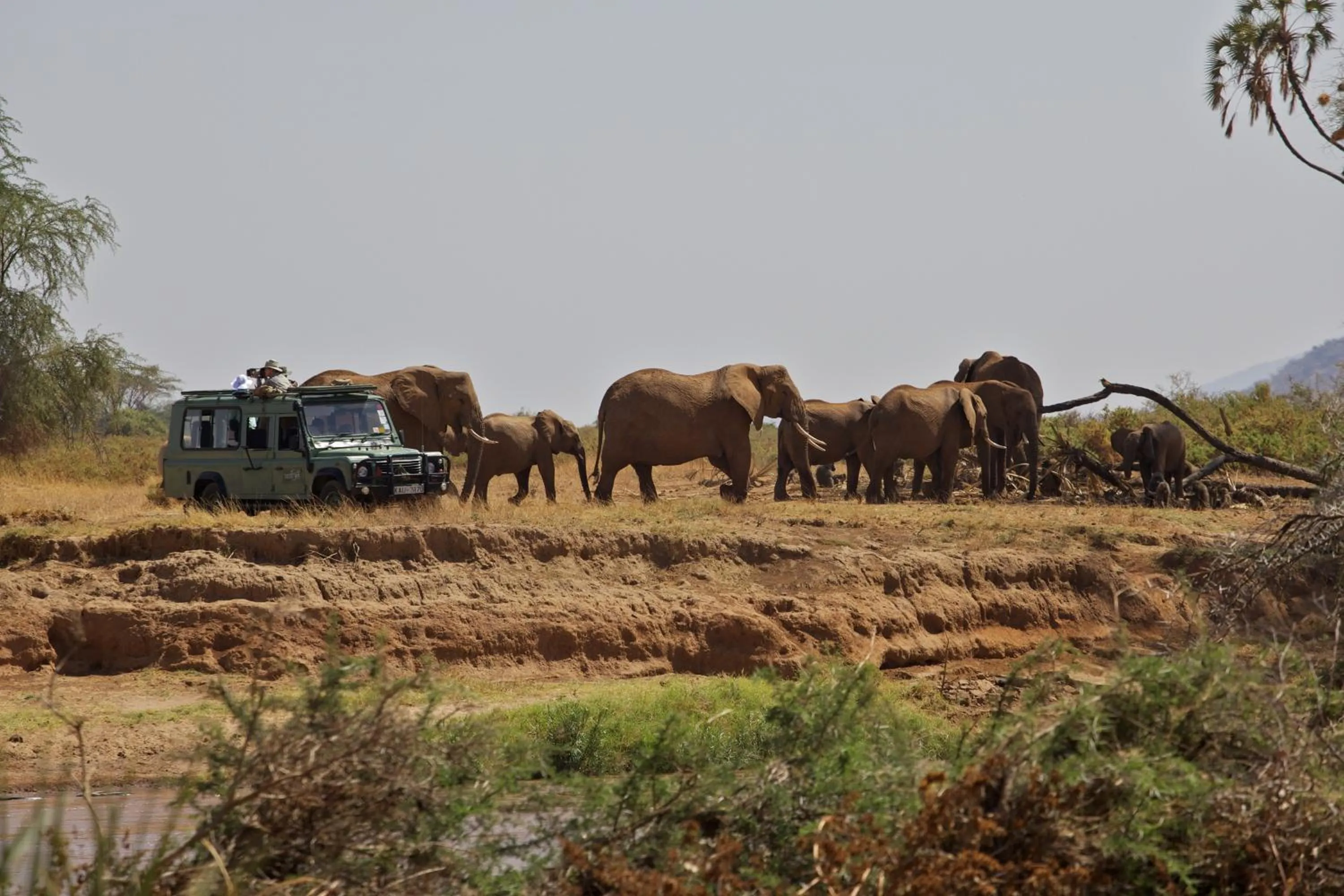 Activities in Ashnil Samburu Camp