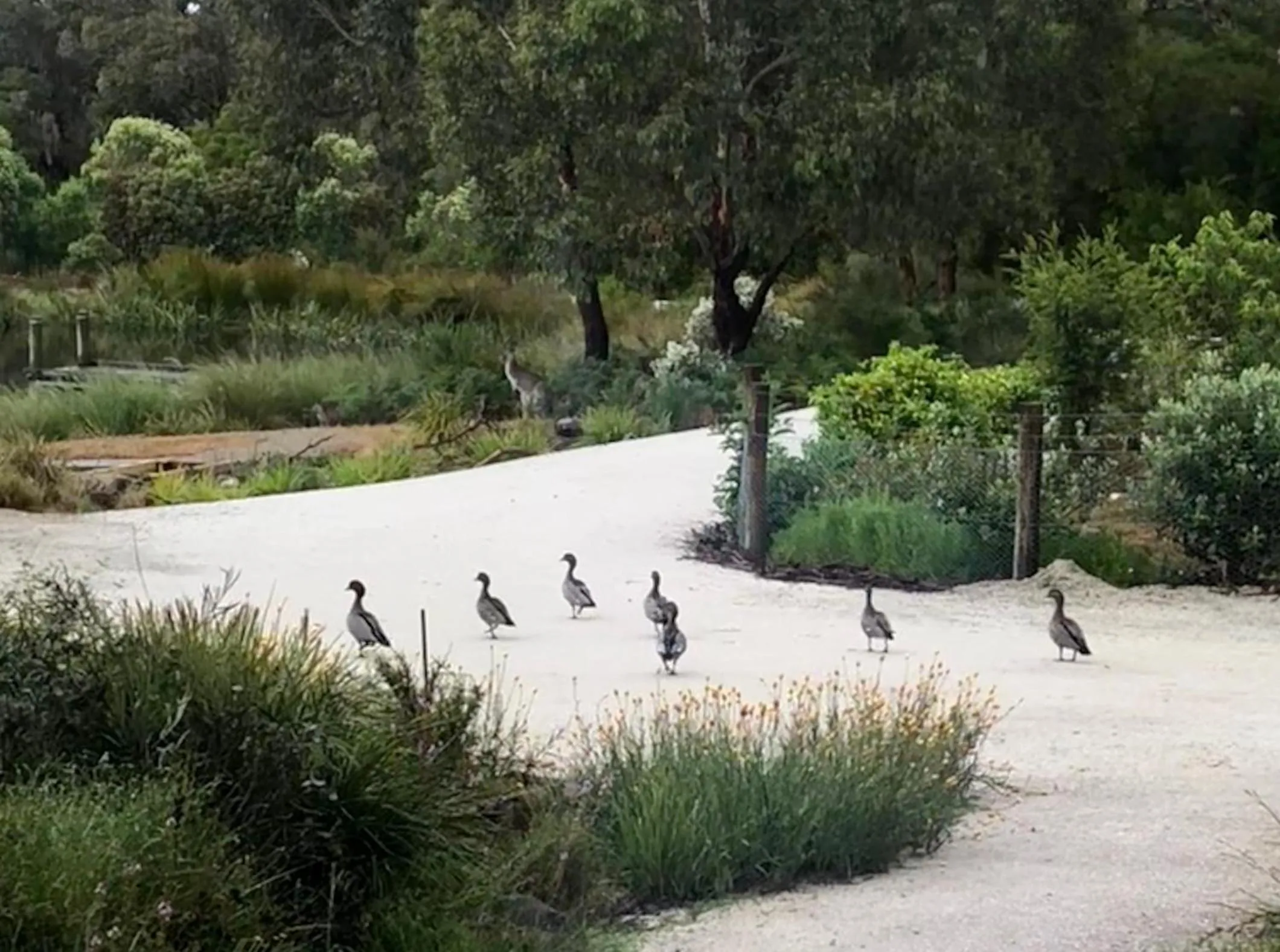 Natural landscape in Messmates Luxury Eco Suites