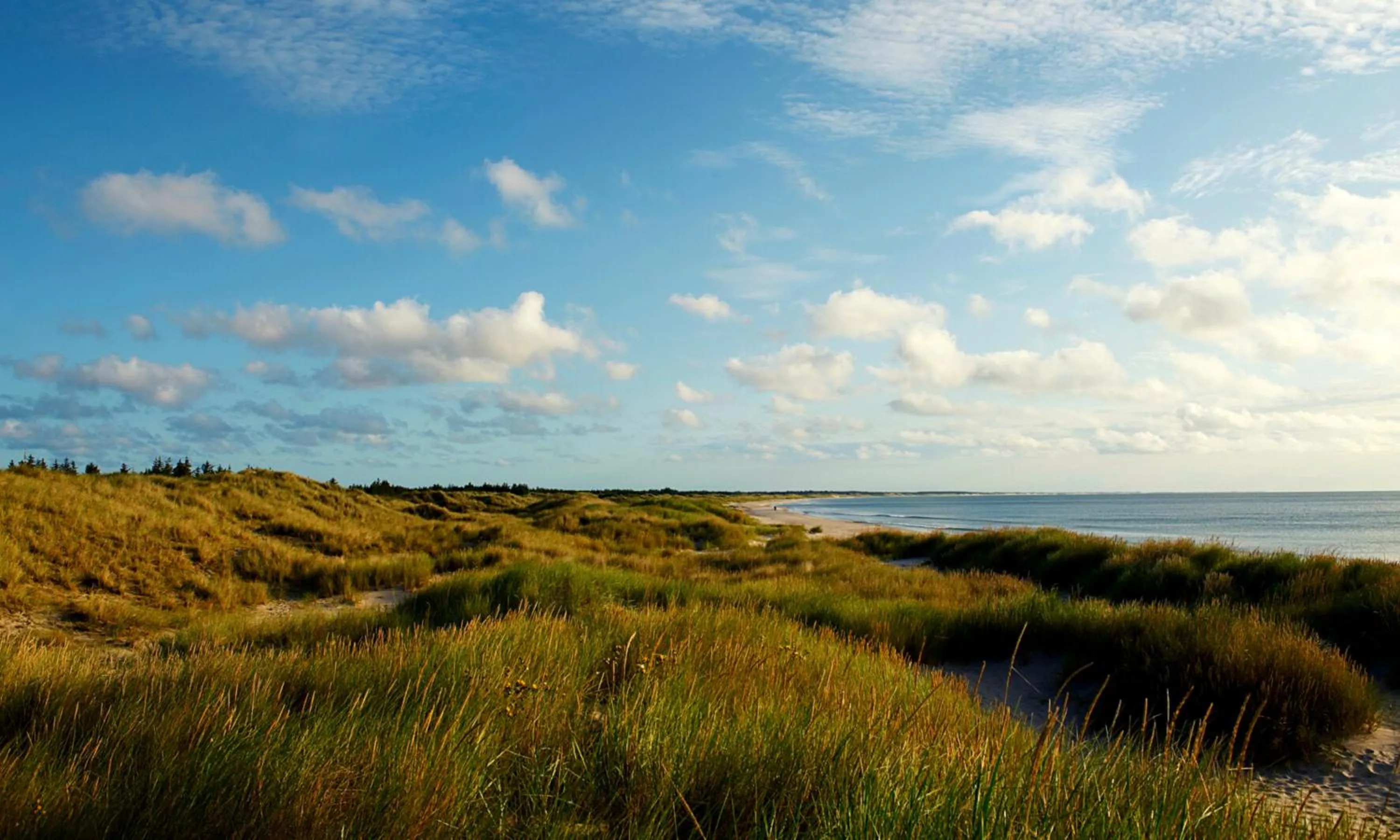 Natural landscape in Aalbæk Badehotel