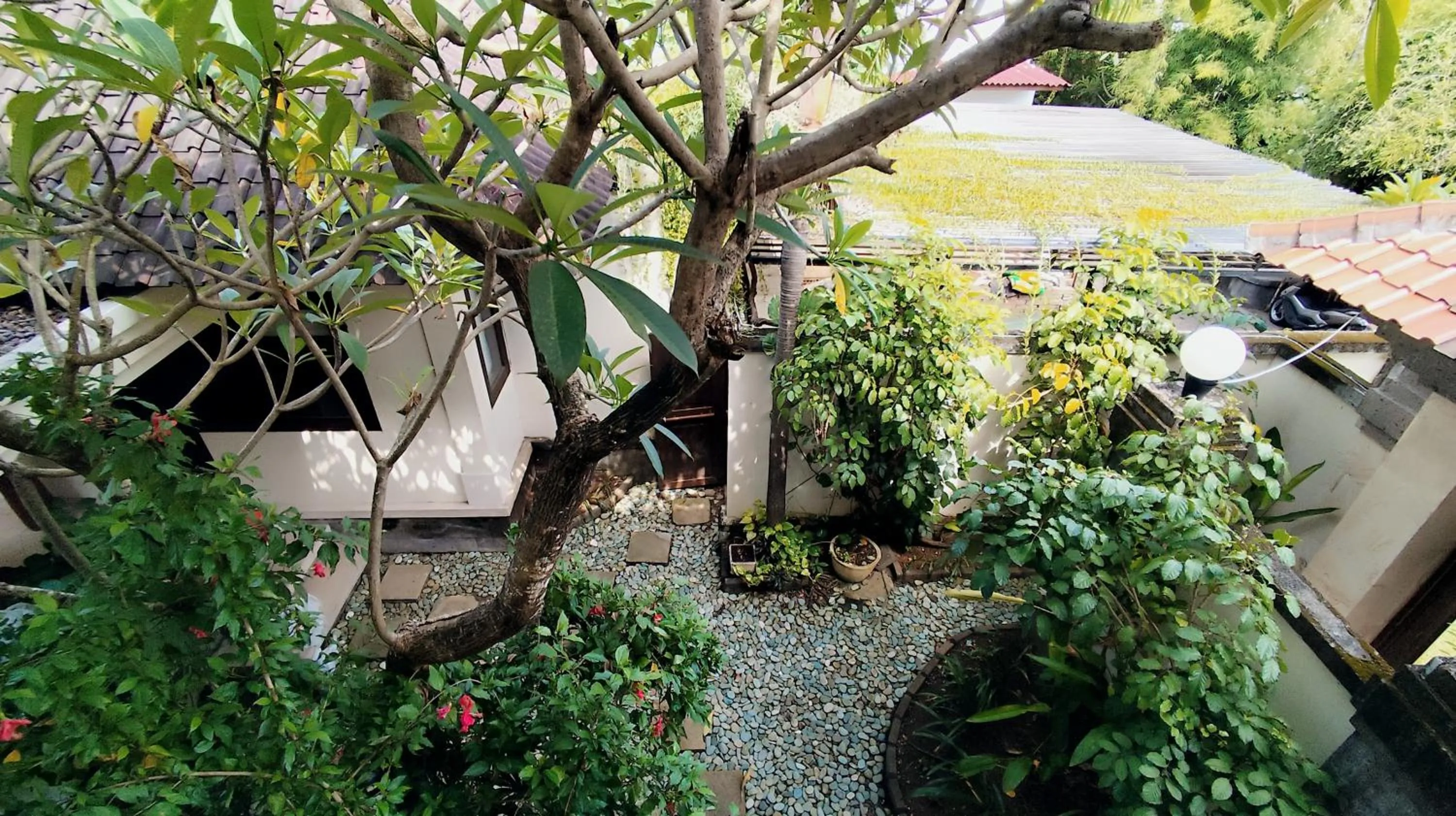 Garden in Villa Diana Bali