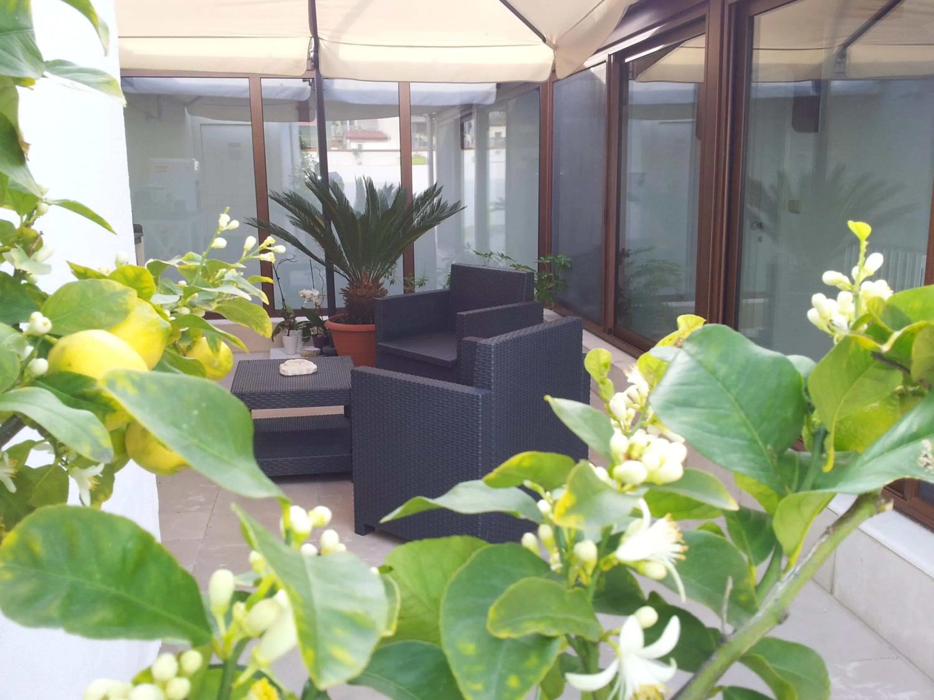 Garden in B&B Torrente Antico