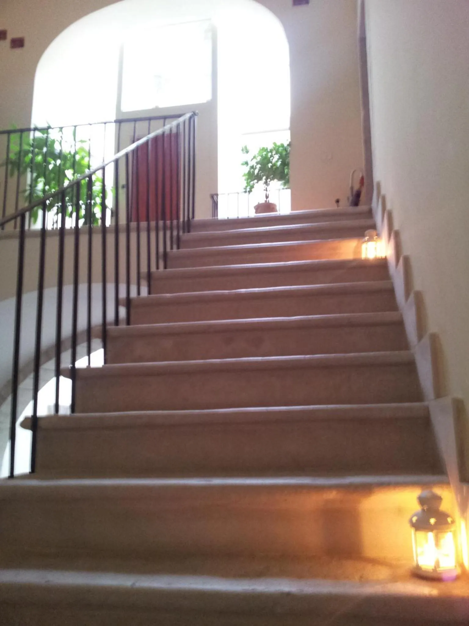 Area and facilities in B&B Torrente Antico