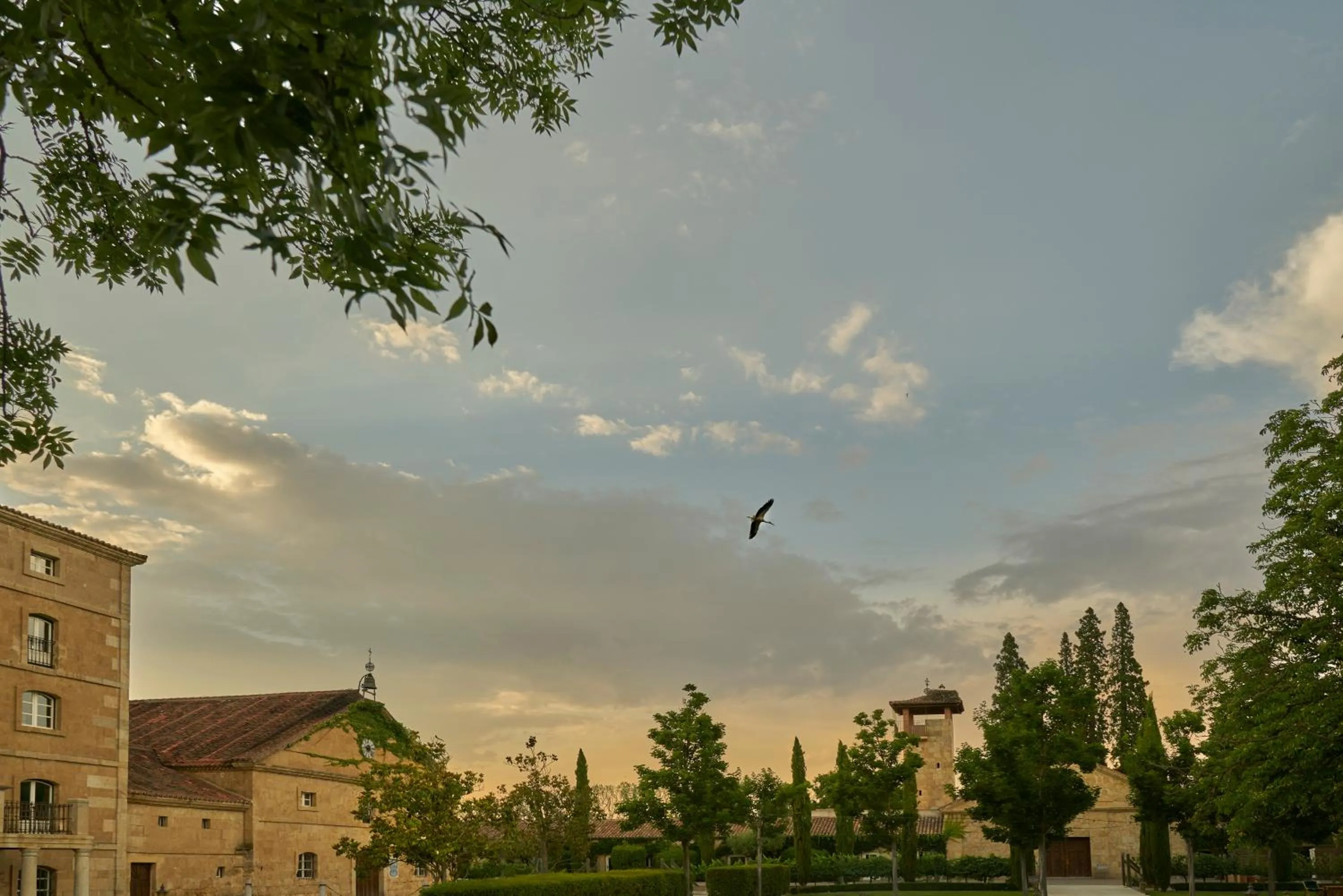Natural landscape in Hacienda Zorita Wine Hotel & Spa - Small Luxury Hotels