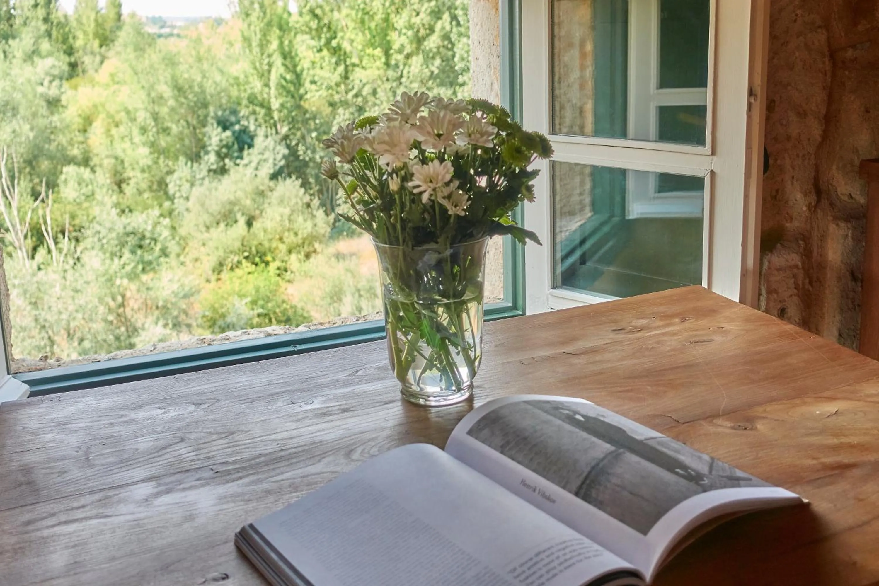 Garden view in Hacienda Zorita Wine Hotel & Spa - Small Luxury Hotels