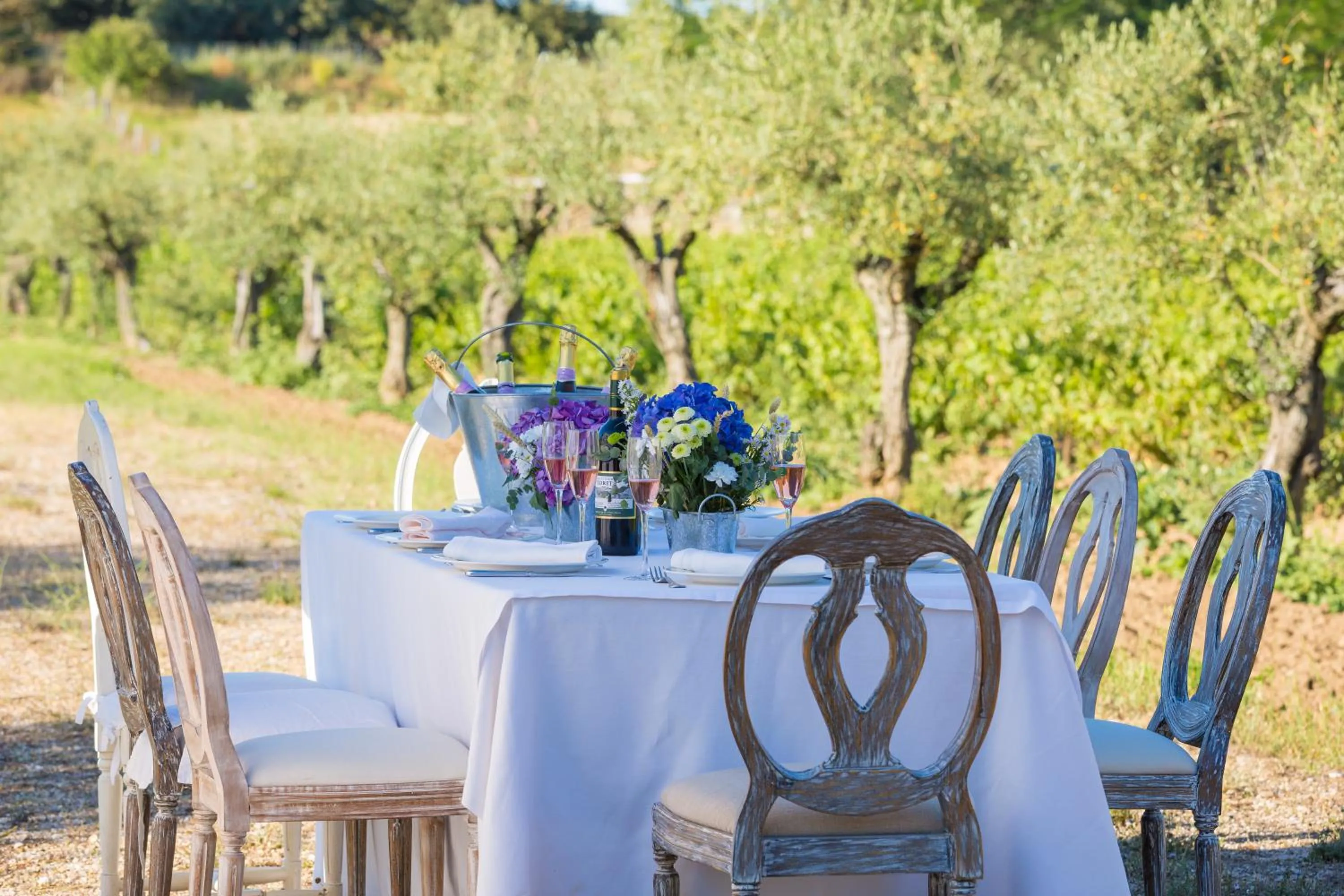 Other in Hacienda Zorita Wine Hotel & Spa - Small Luxury Hotels