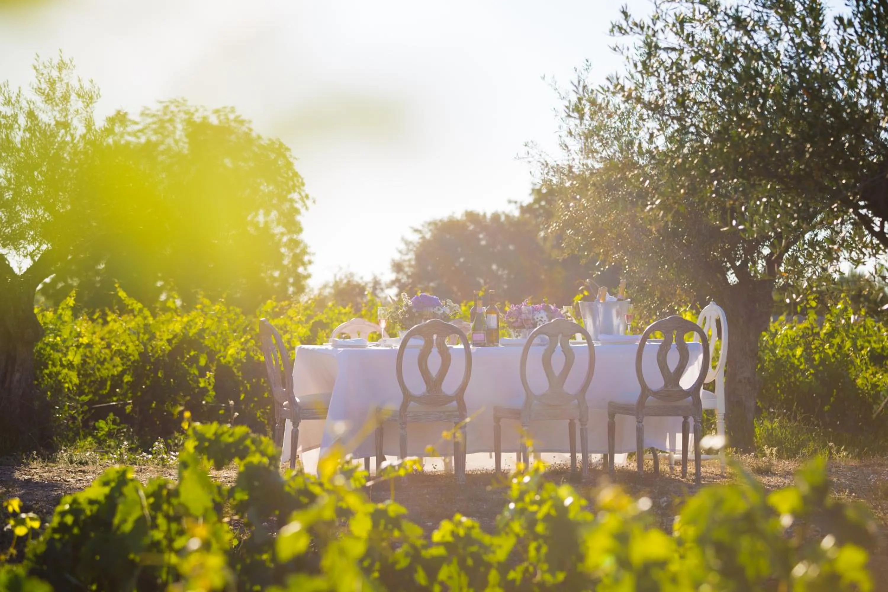 Other in Hacienda Zorita Wine Hotel & Spa - Small Luxury Hotels