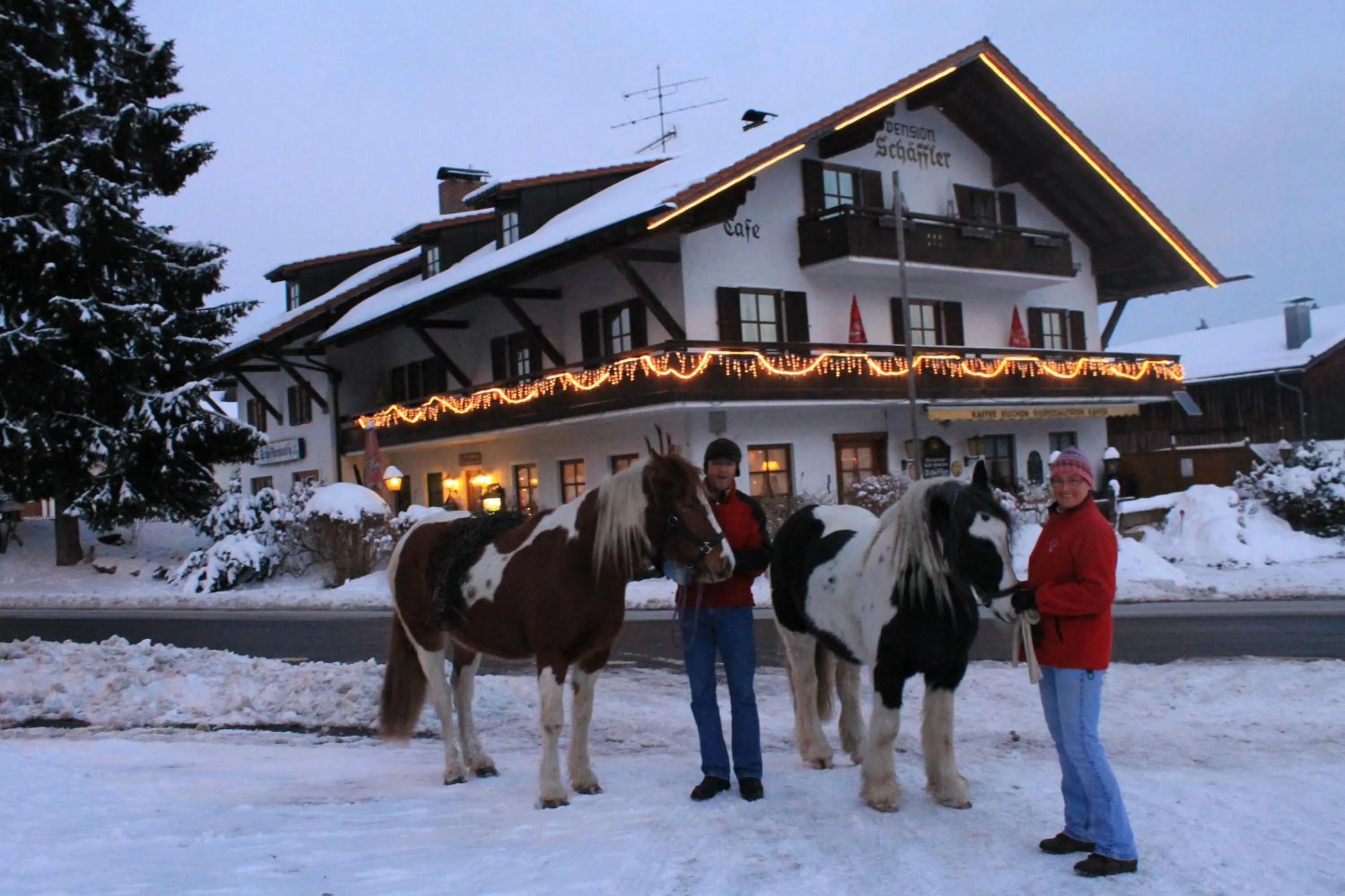 Animals in Hotel Schäfflerhof