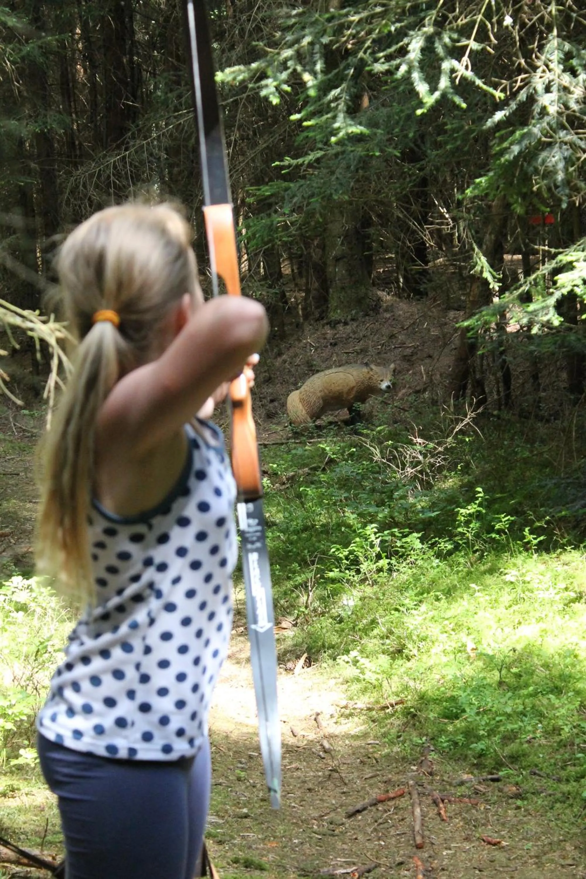 Activities in Hotel Schäfflerhof