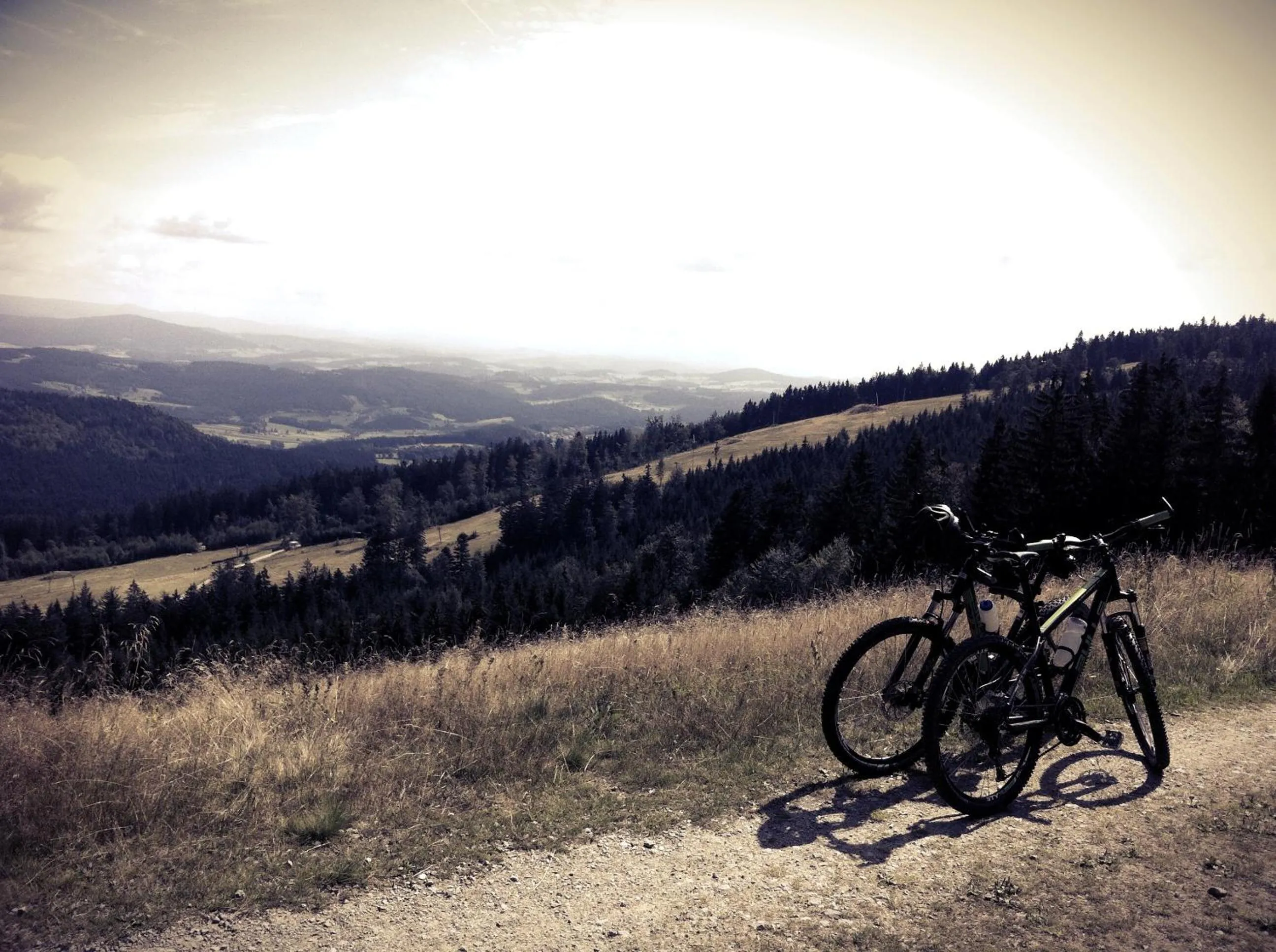 Cycling in Hotel Schäfflerhof