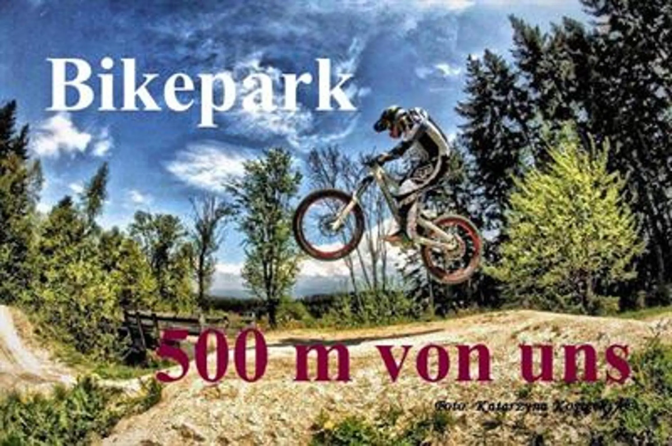 Cycling in Hotel Schäfflerhof