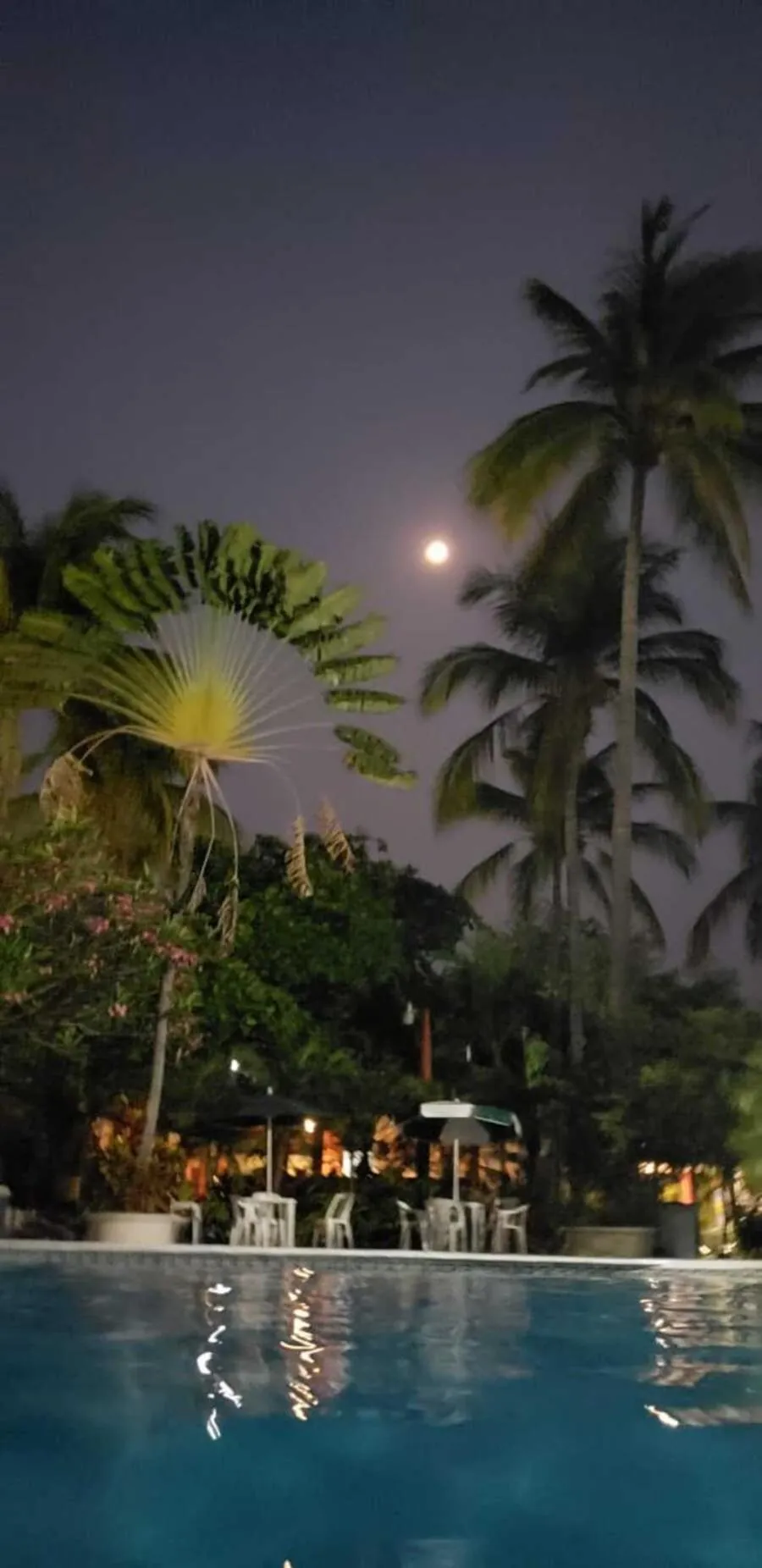 Swimming pool in Hotel Albatros