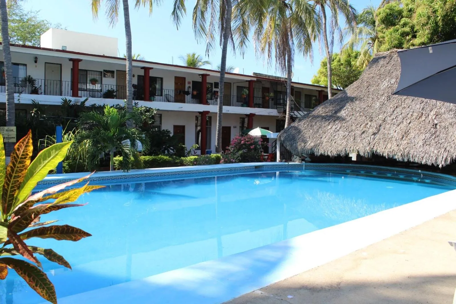 Swimming pool in Hotel Albatros