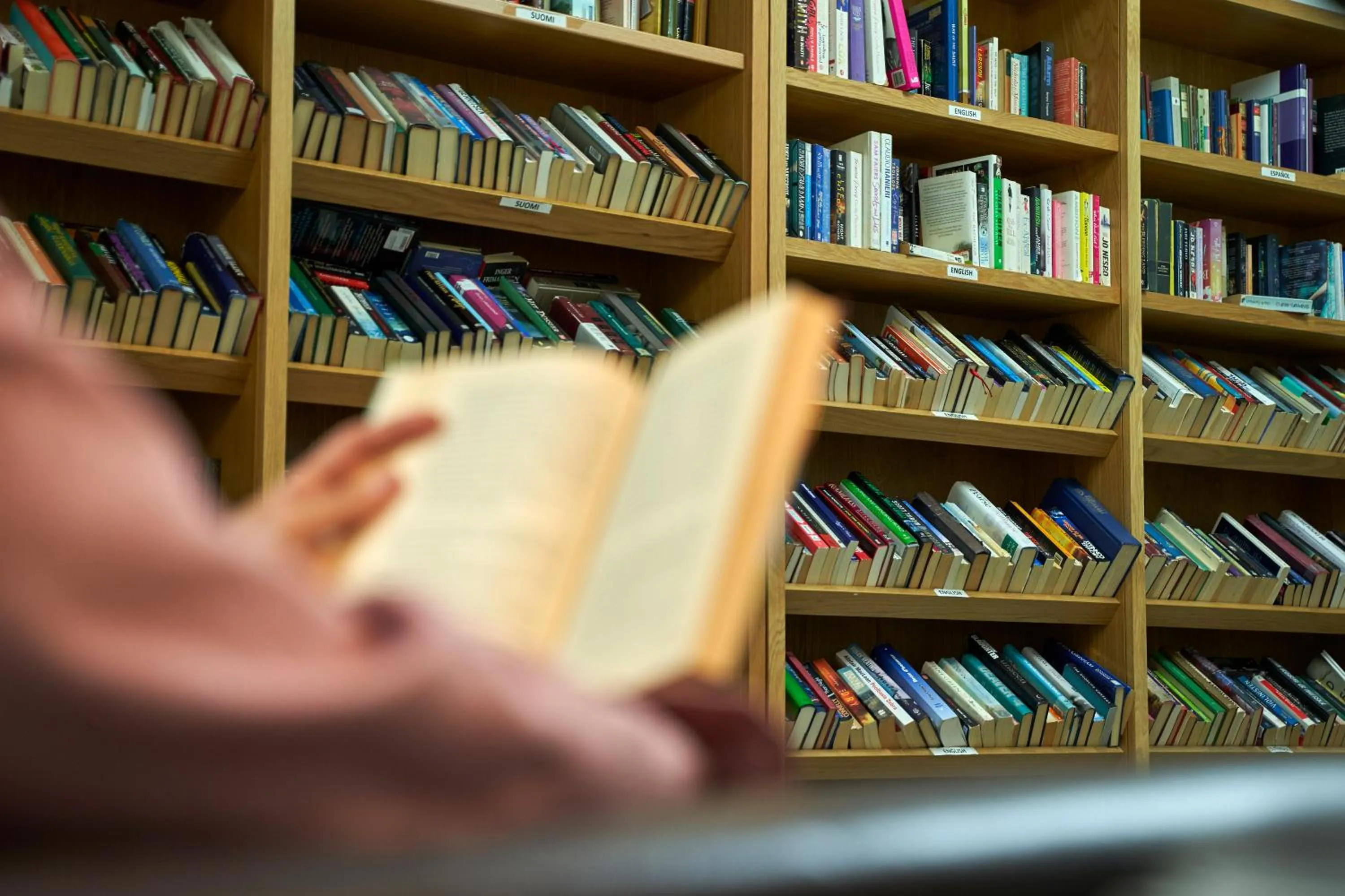 Library in Apartamentos Mediterráneo Real