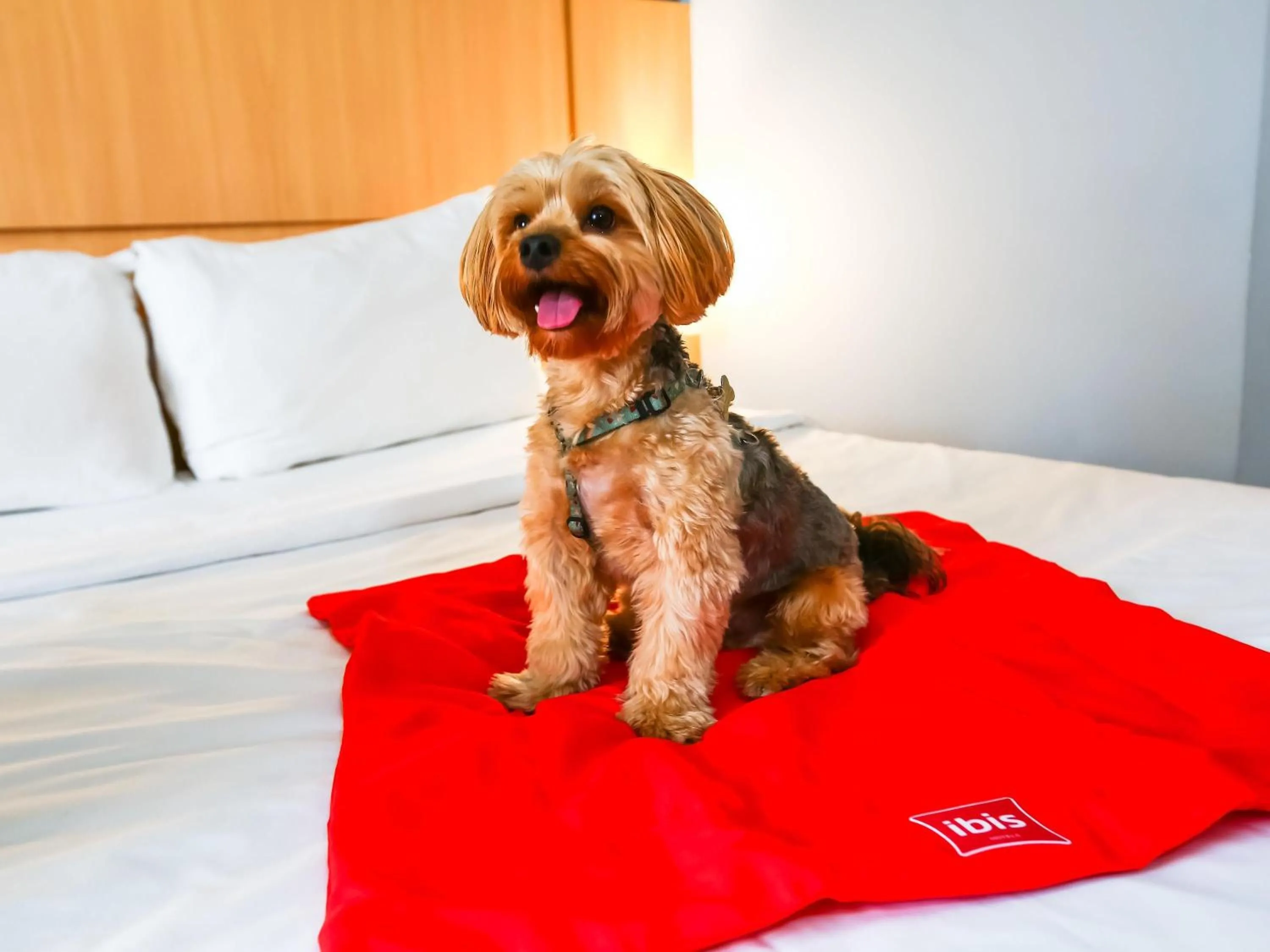 Other in ibis Vitoria Praia do Canto