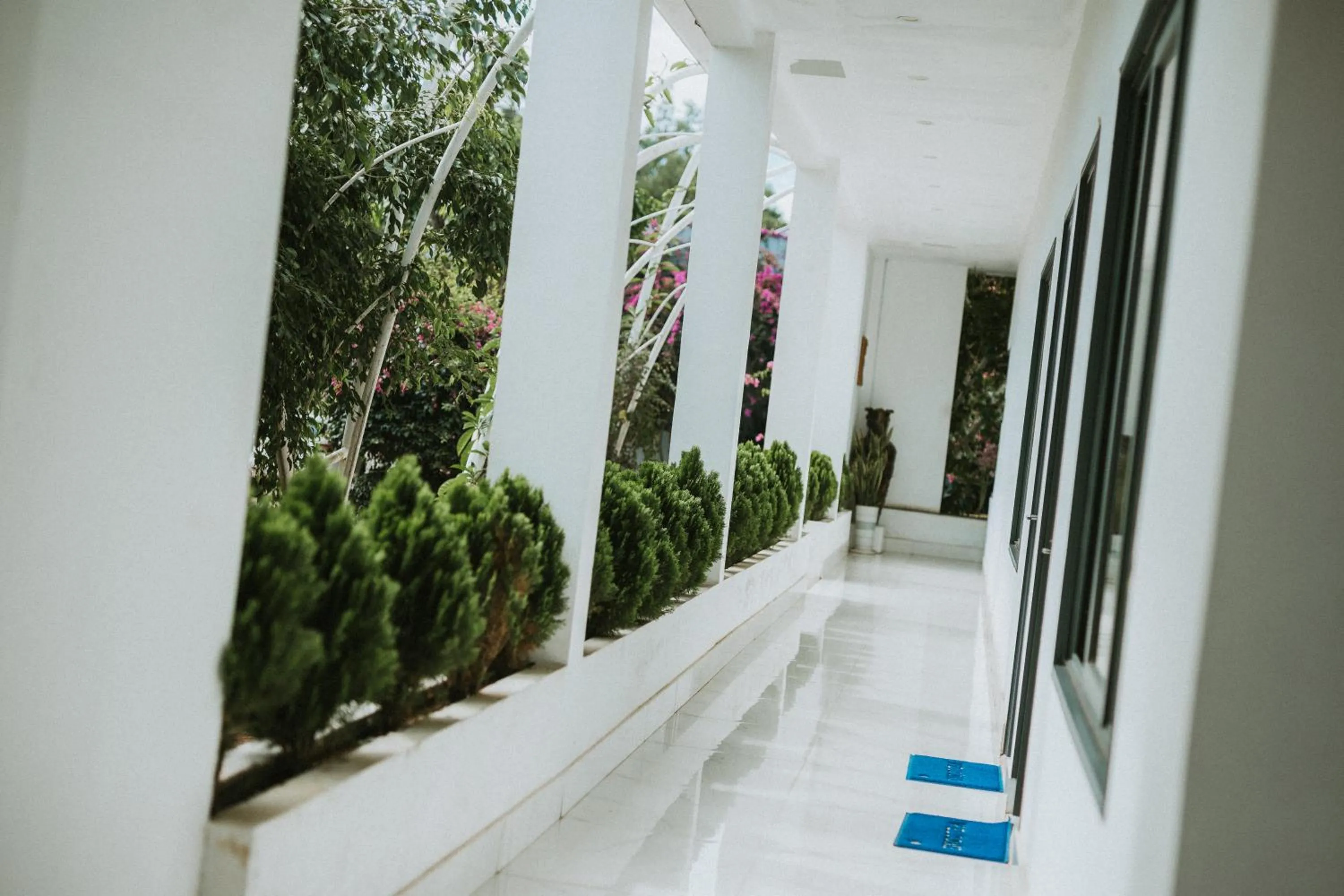 Garden in Nhat Quang Hotel