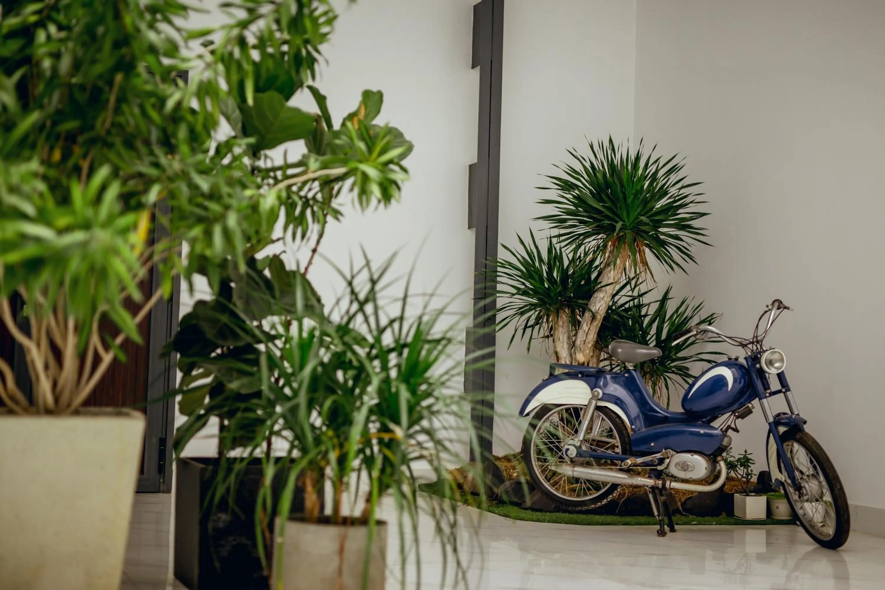 Garden in Nhat Quang Hotel